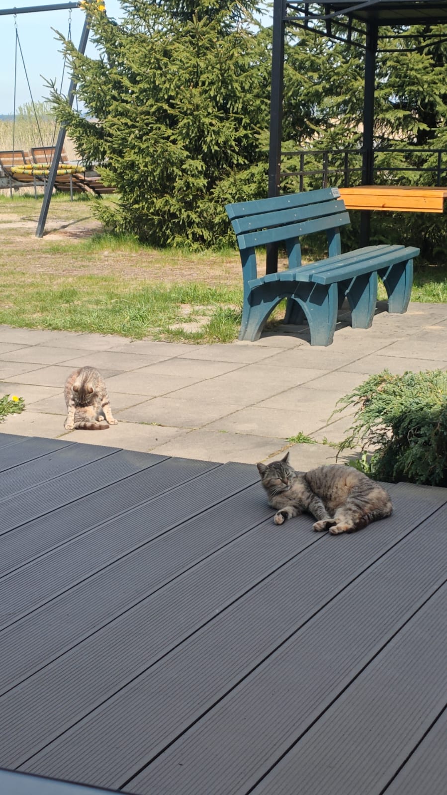 Фото Ладога