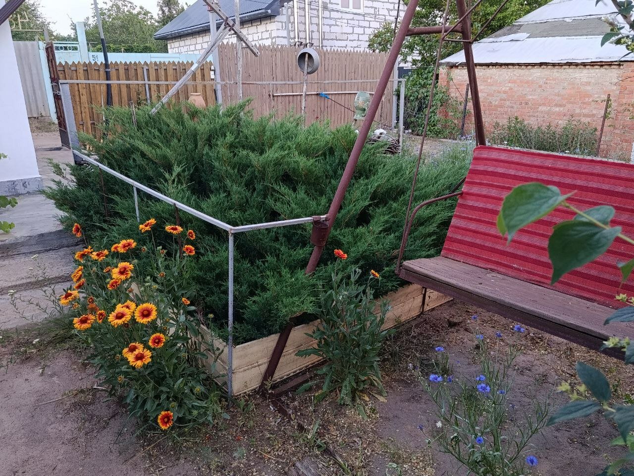 Фото Доброслав