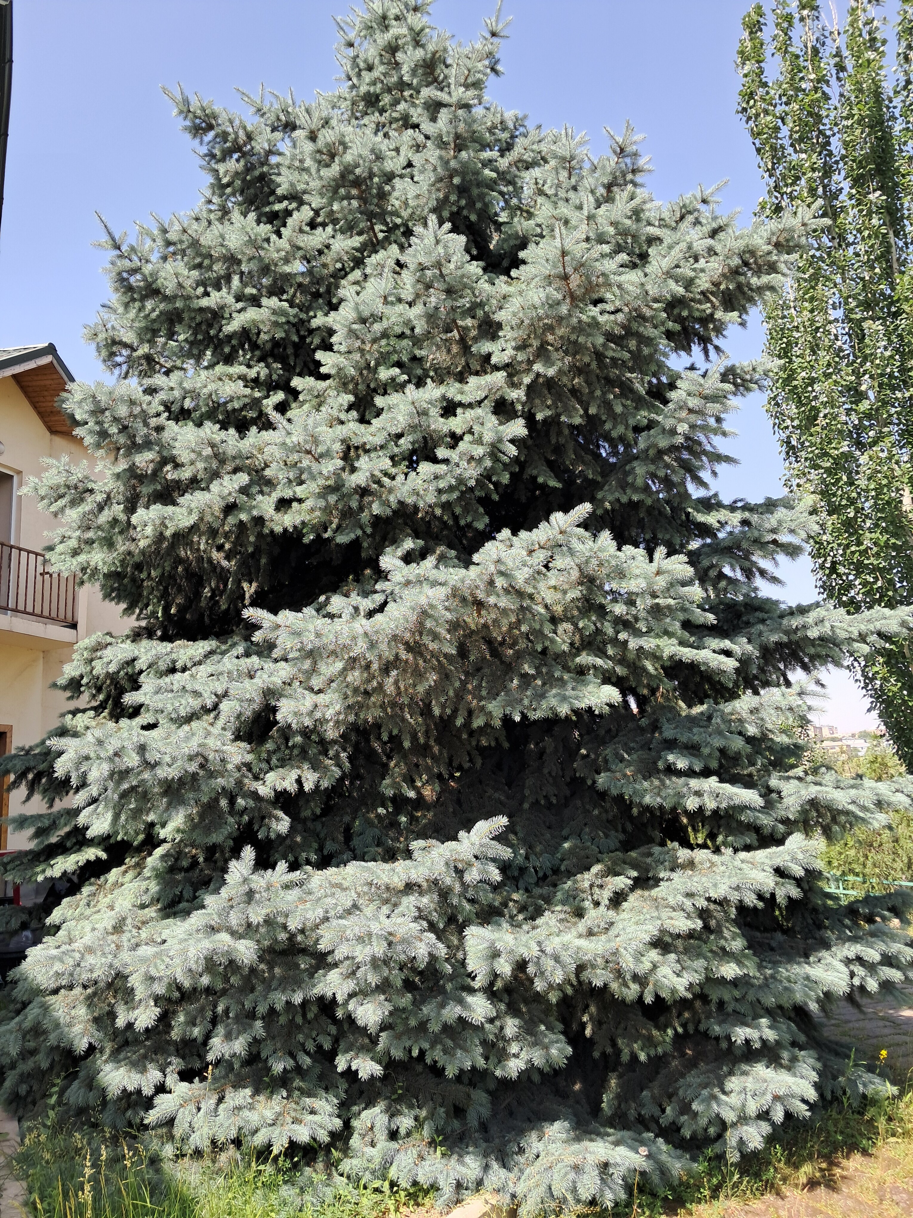 Фото Armenian Village Park Hotel