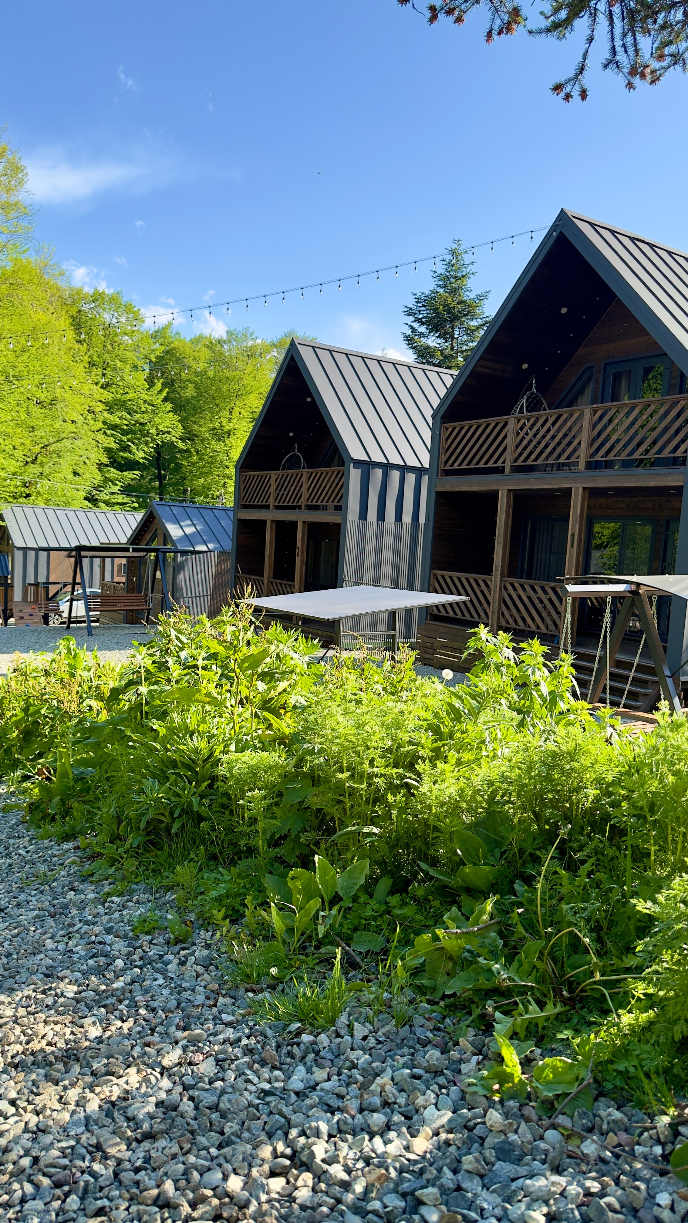 Фото Альбор