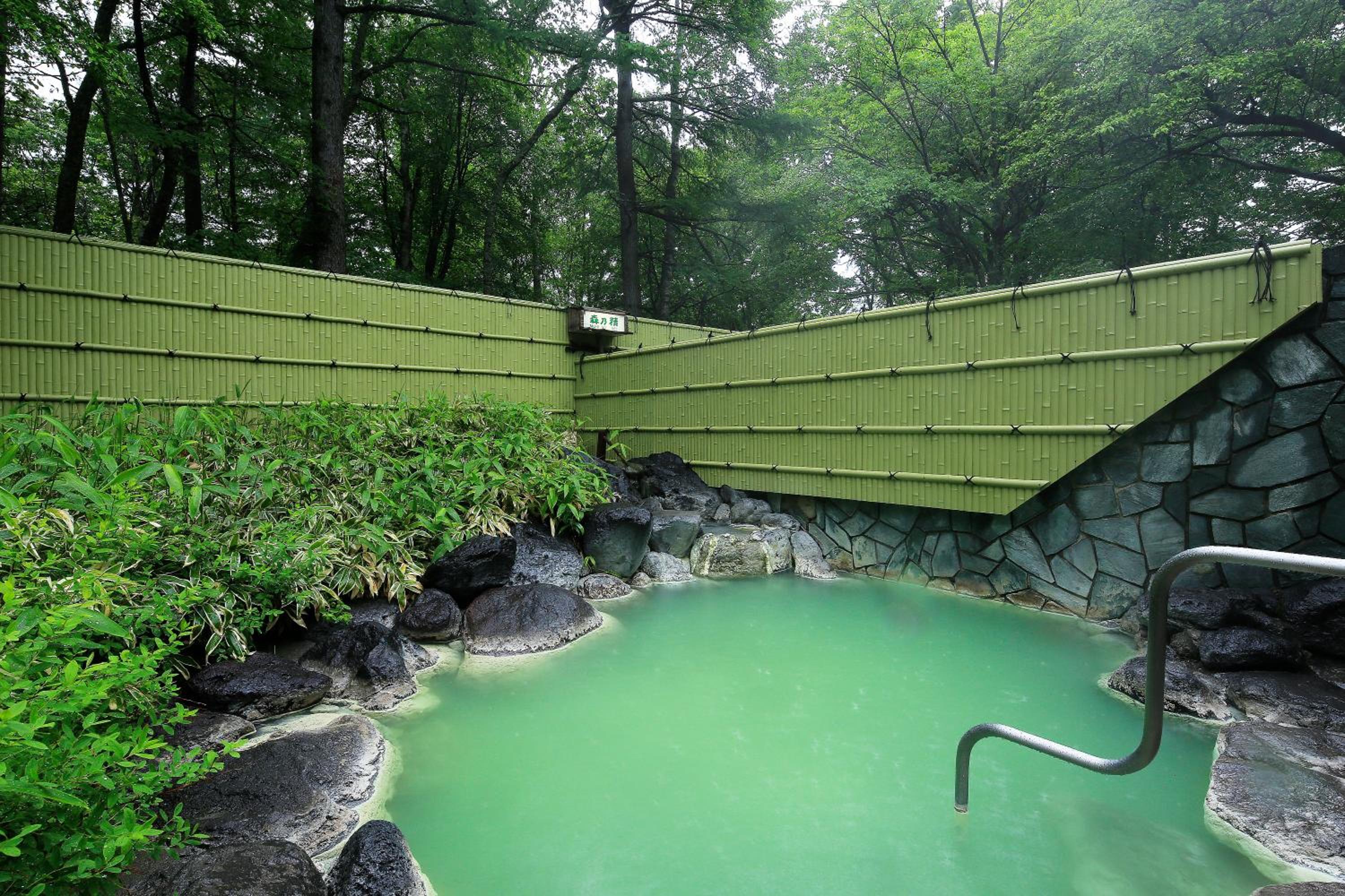 Фото Nikko Astraea Hotel