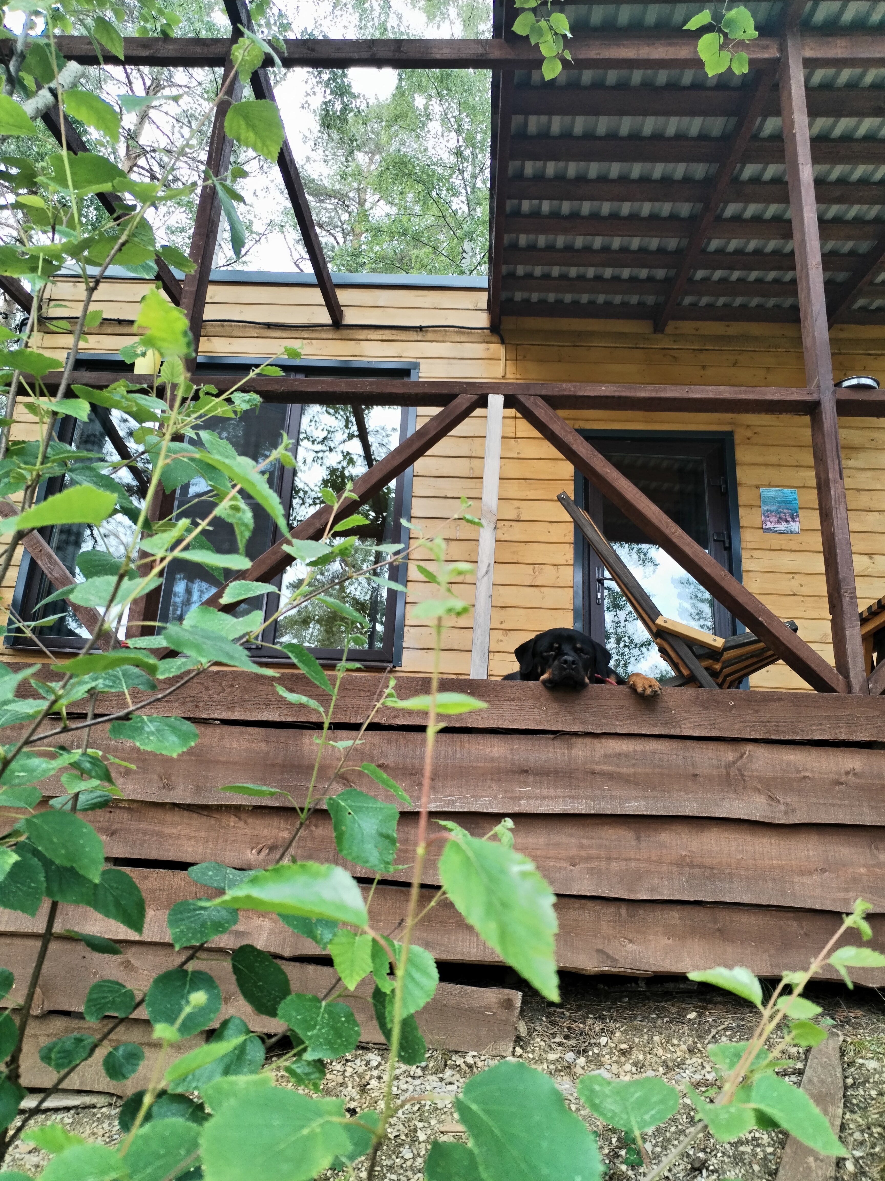 Фото Межгорье