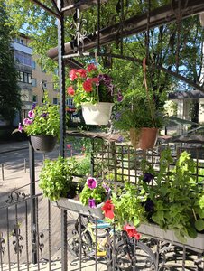 Самый центр