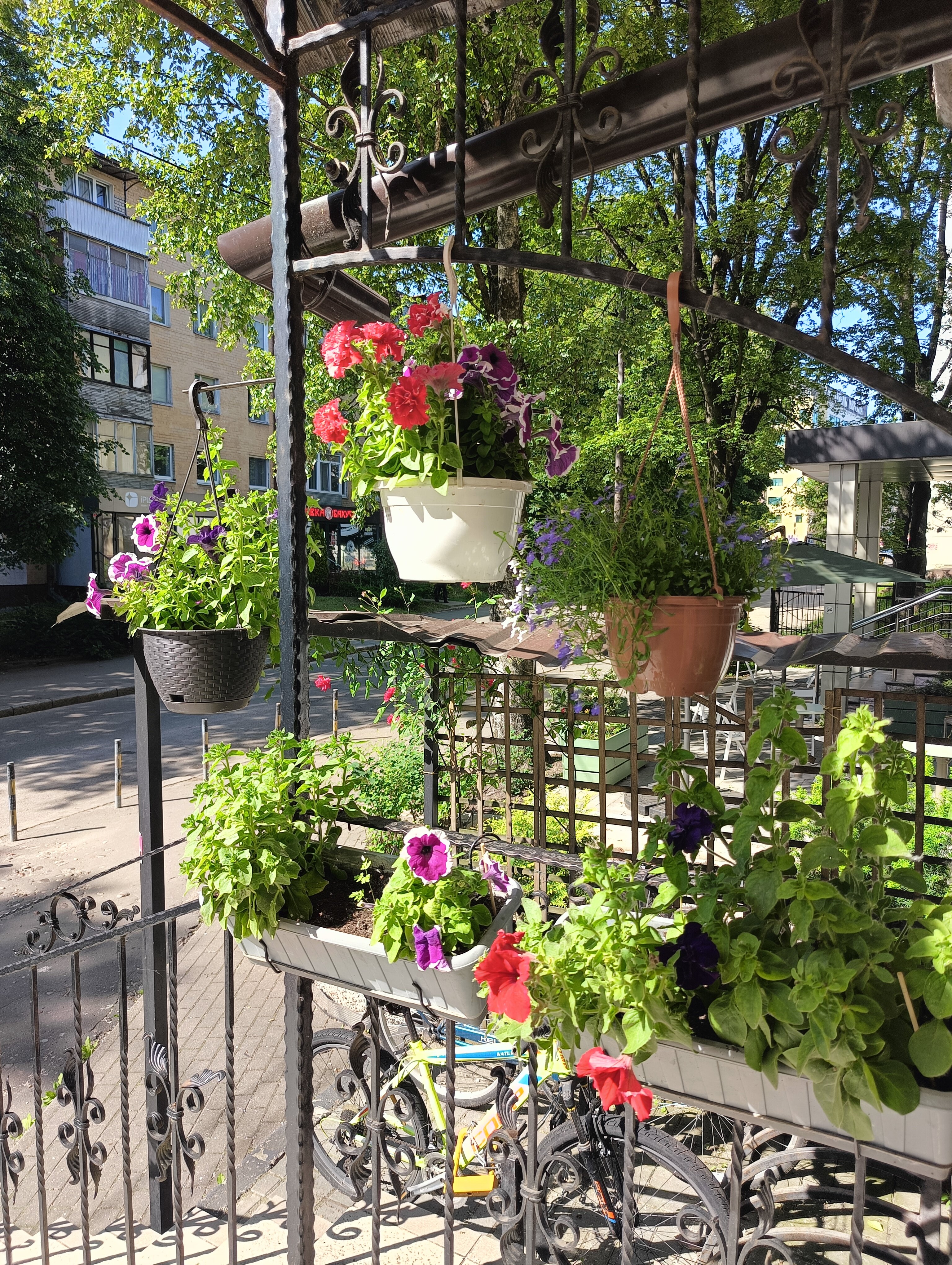 Фото отеля 5