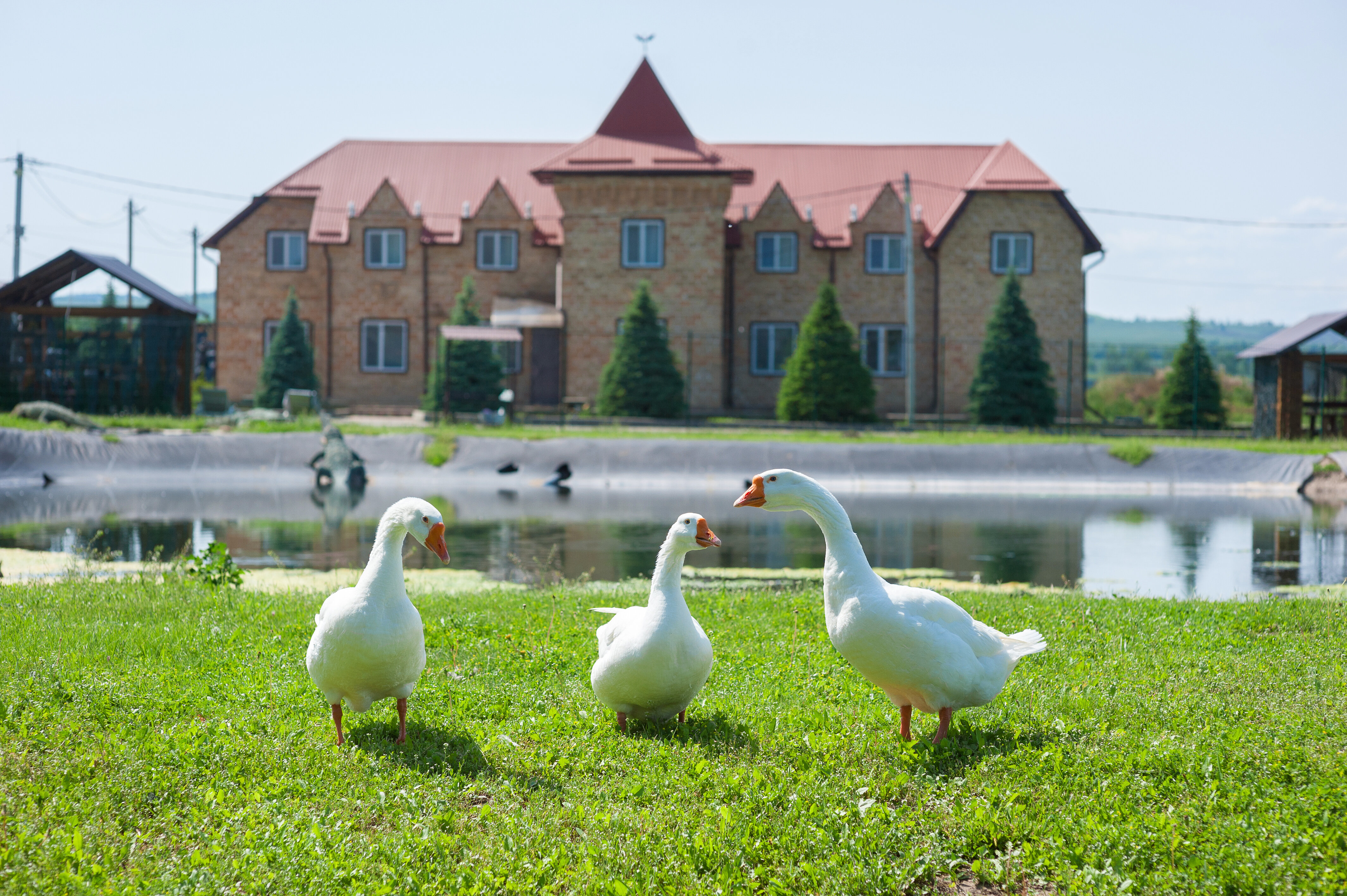 Фото Термопарк