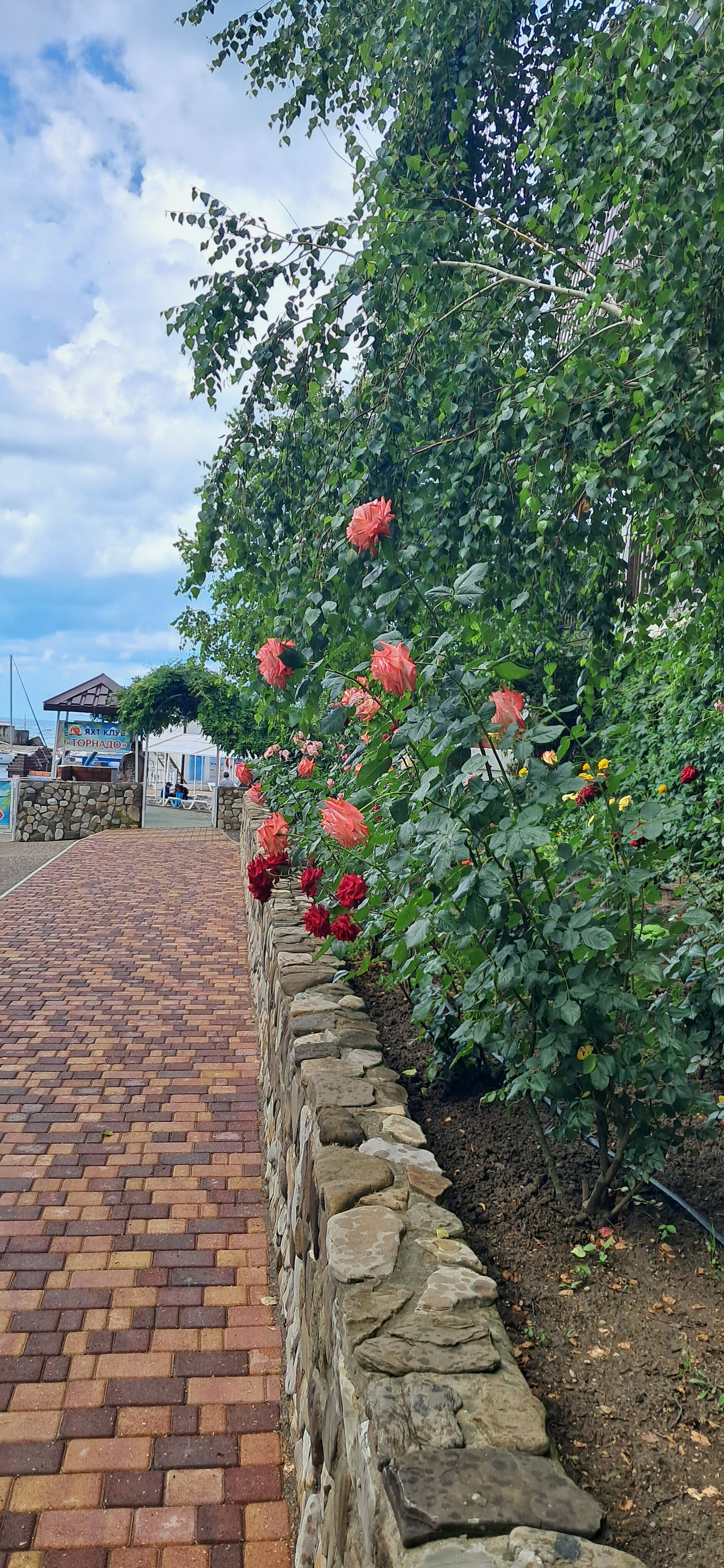 Фото Торнадо