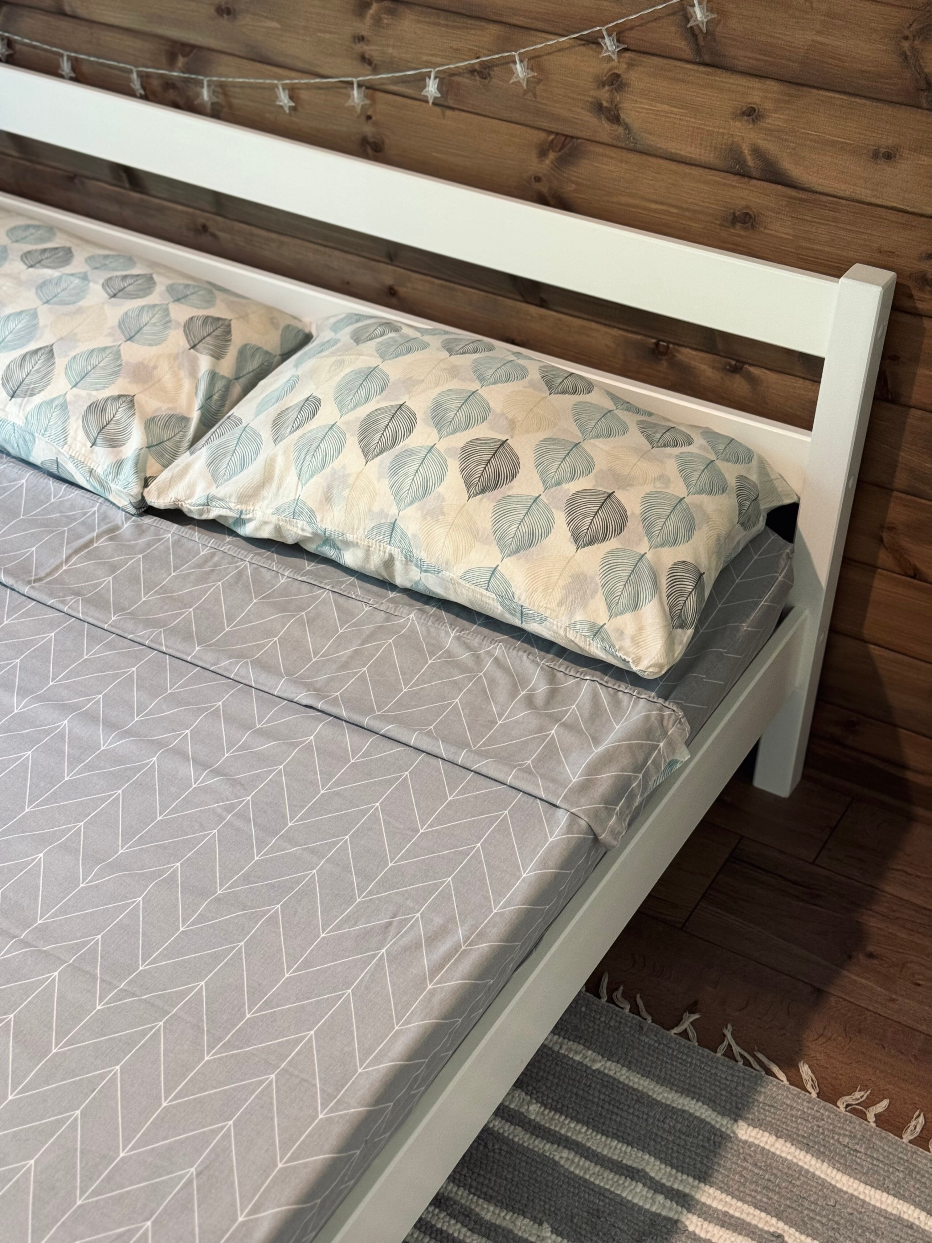 Фото Эхо леса