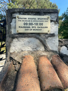 Ilia Chavchavadze Museum (kray Mtskheta-Mtianeti, Mtskheta Municipality, Saguramo Village), museum