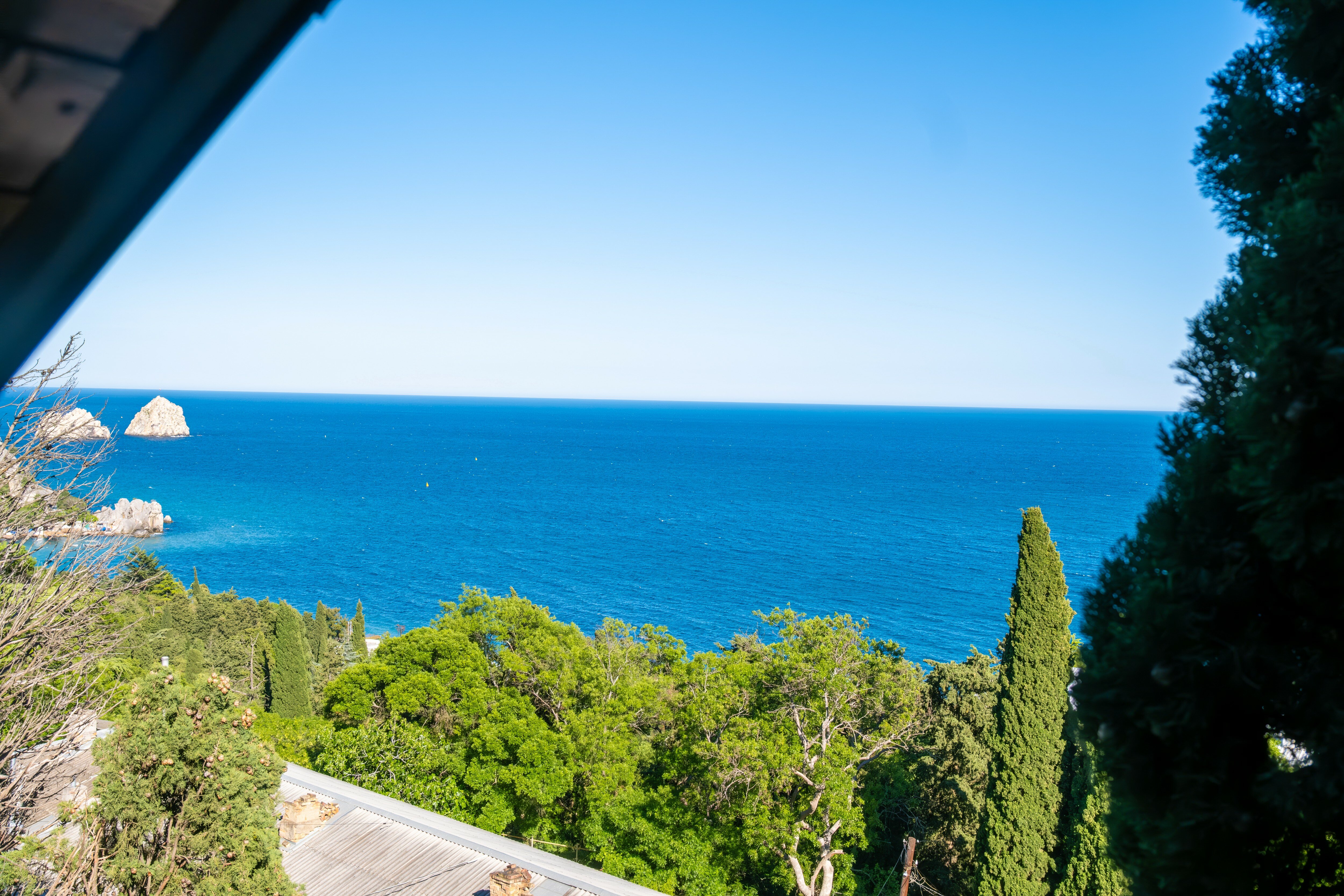 Фото Кипарис