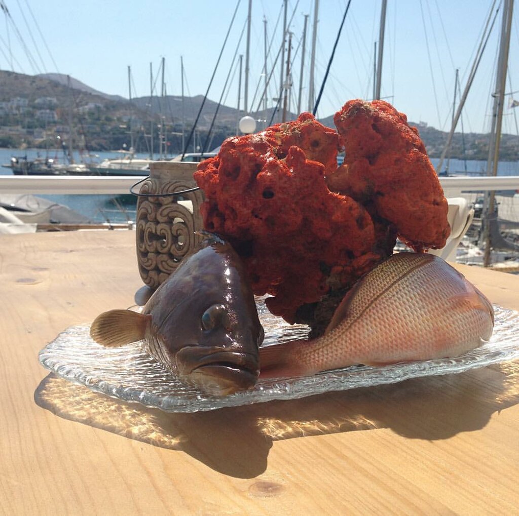 Restaurant Egeo Balik, Istanbul, photo