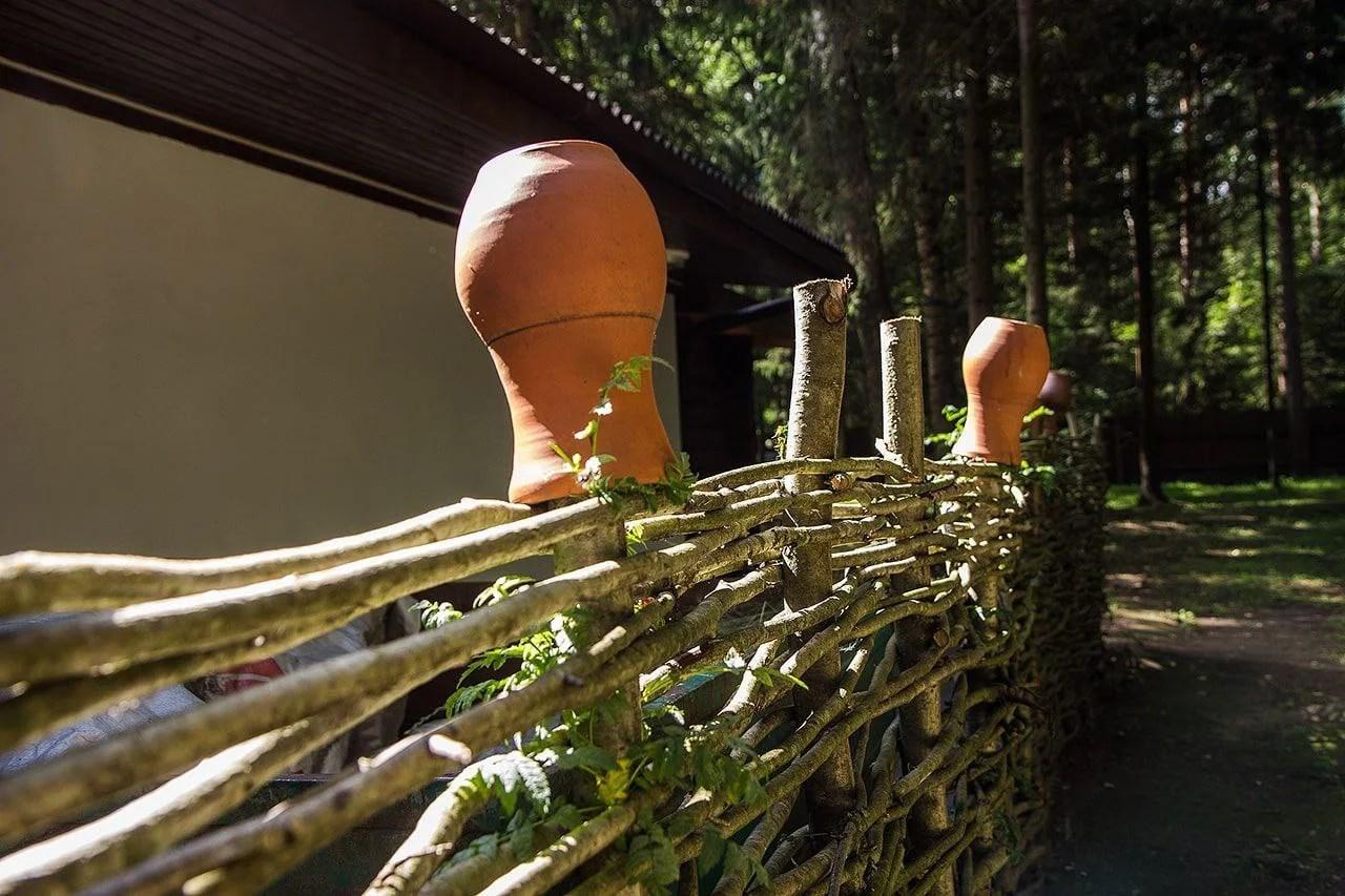 Фото Green forest