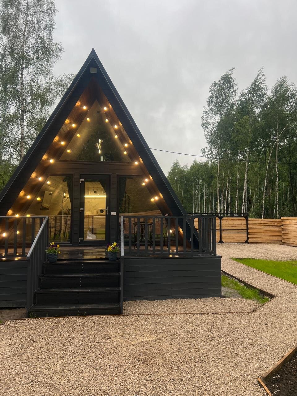 Фото Звёзды леса