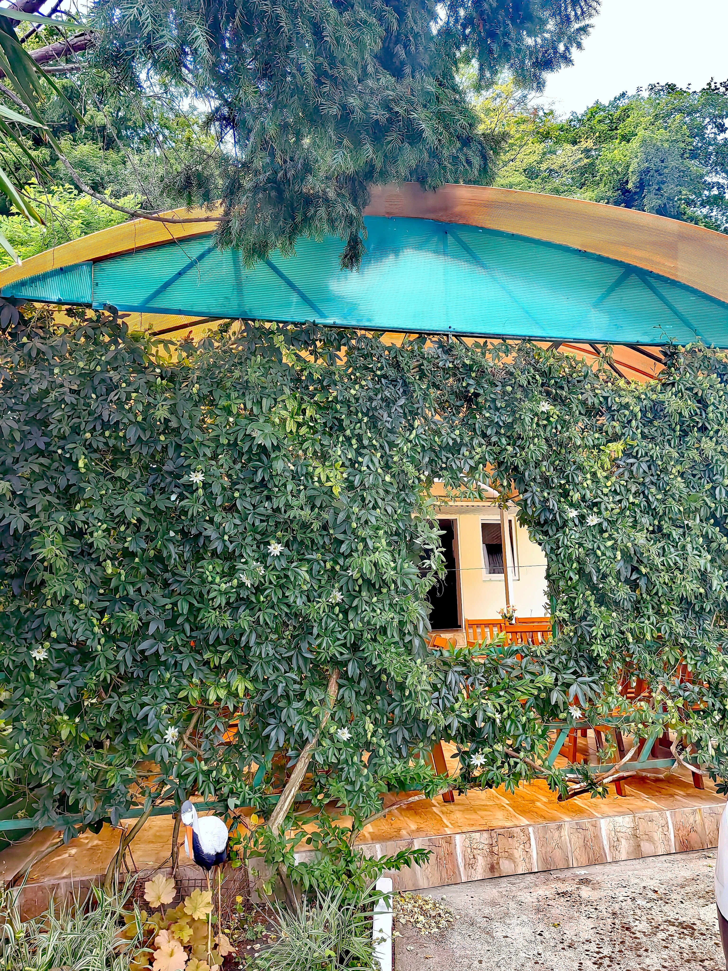 Фото Уютный Дворик