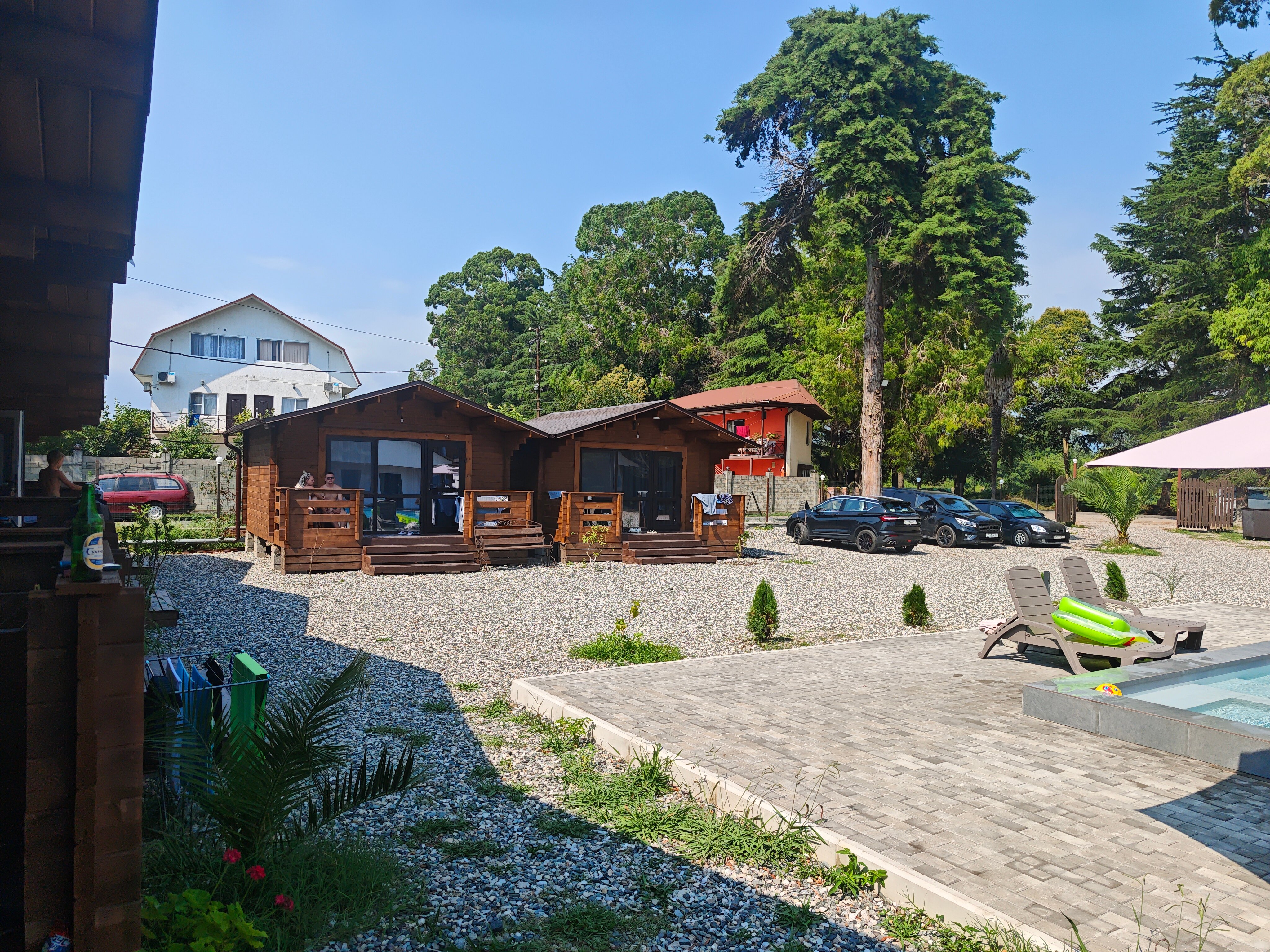 Фото Эвкалипт