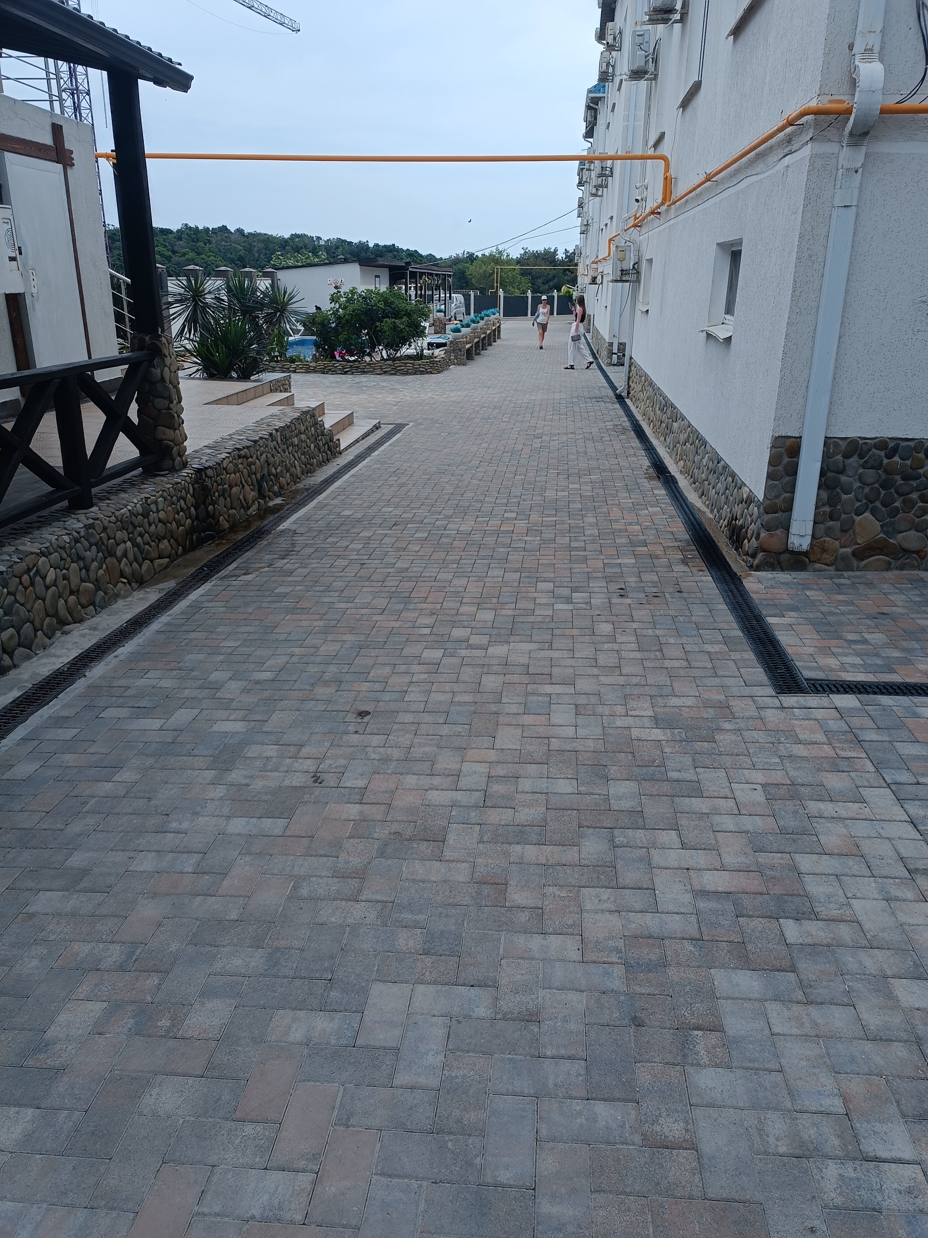 Фото Денница