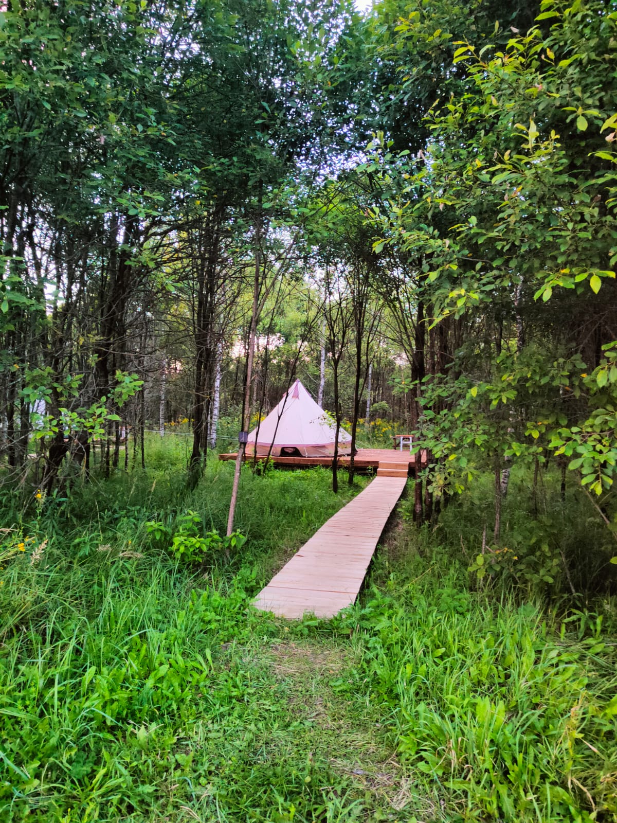 Фото Благоречье