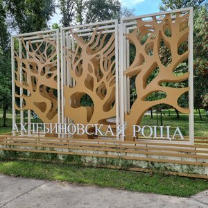 Южный парк (Tambov, Akhlebinovskaya roshcha), nature reserve