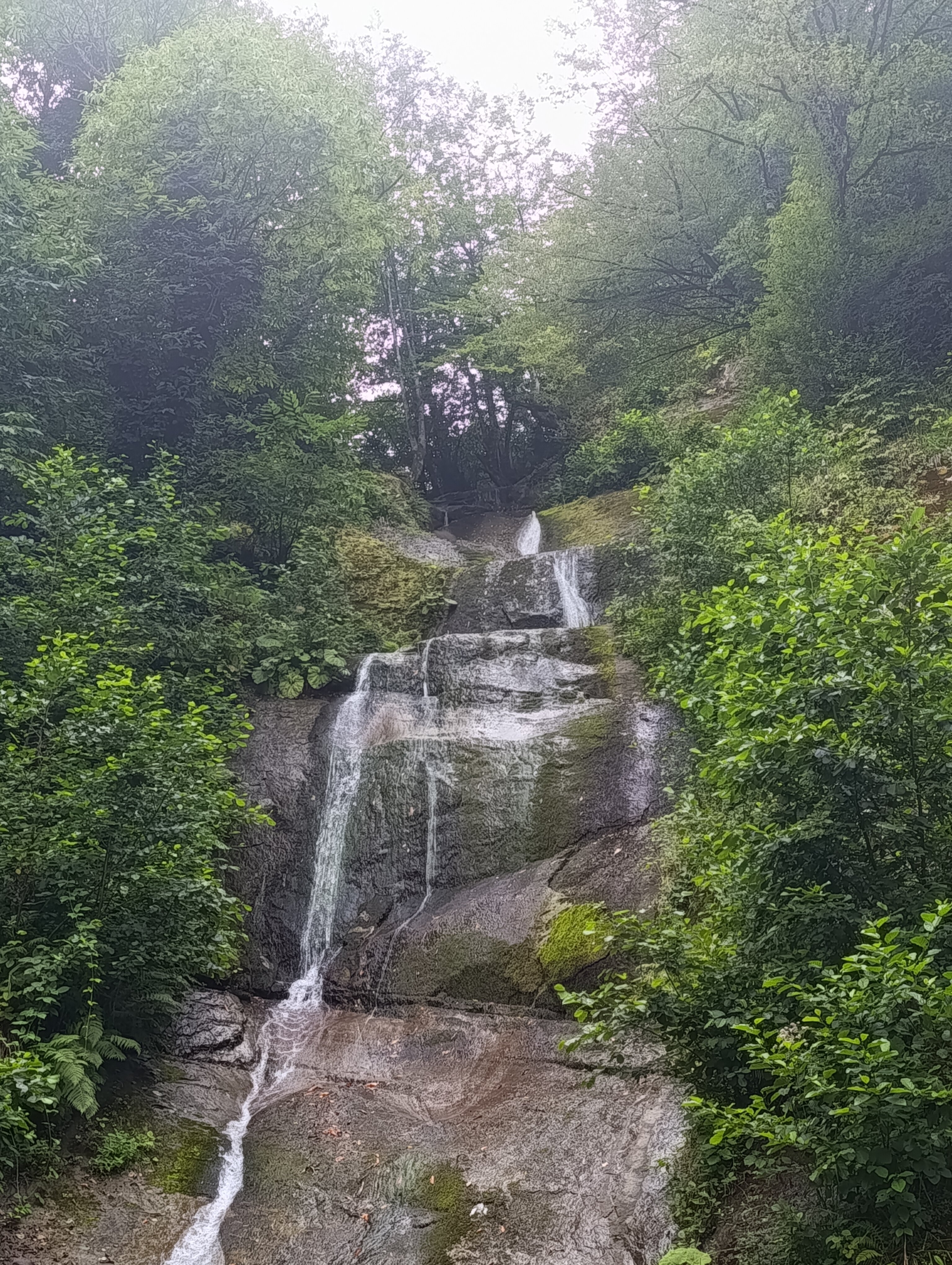 Фото 209409535709