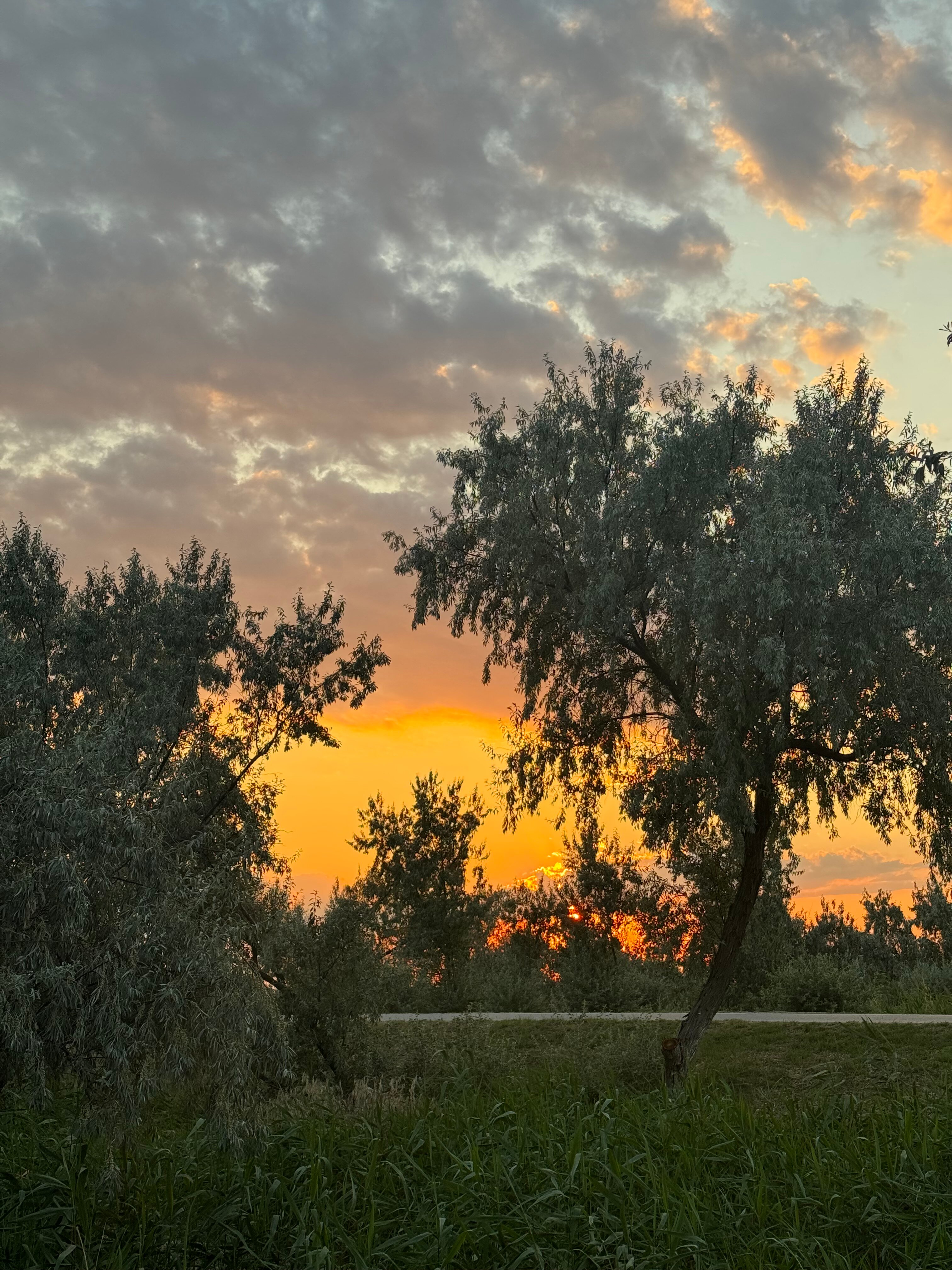 Фото Альбатрос