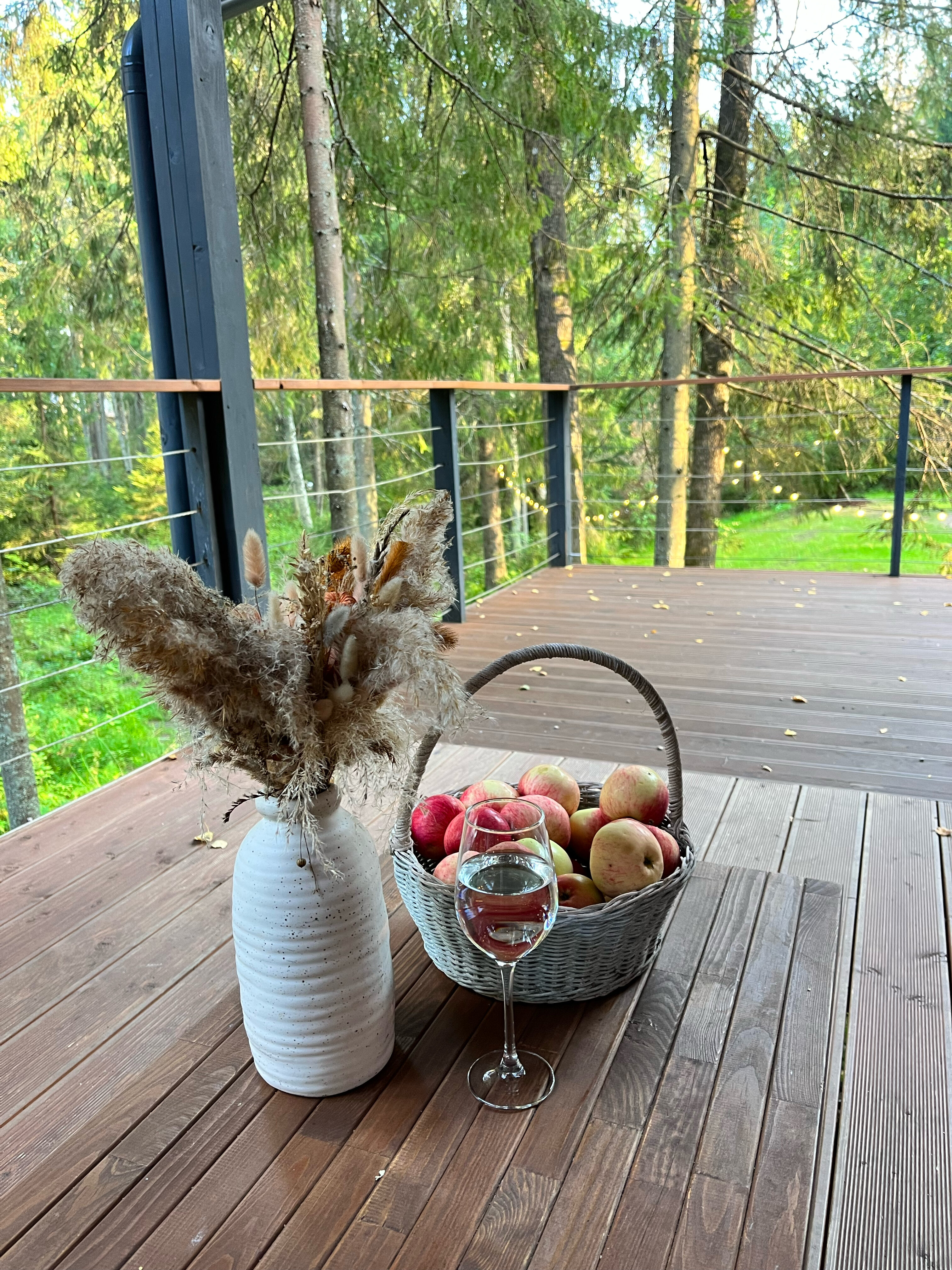 Фото Fox in forest