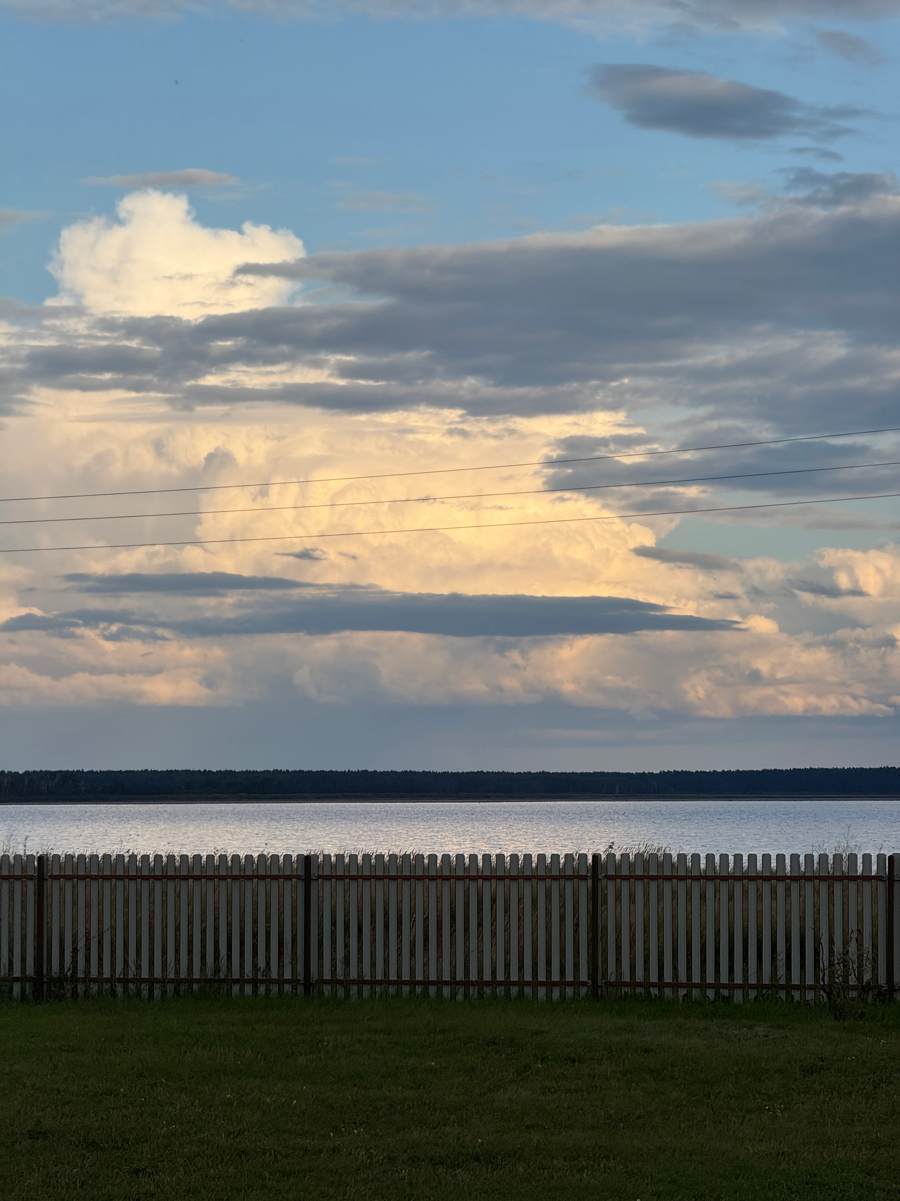Фото Малина кемп