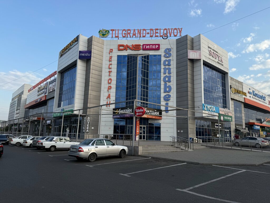 Items for mobile phones Robot, Grozniy, photo