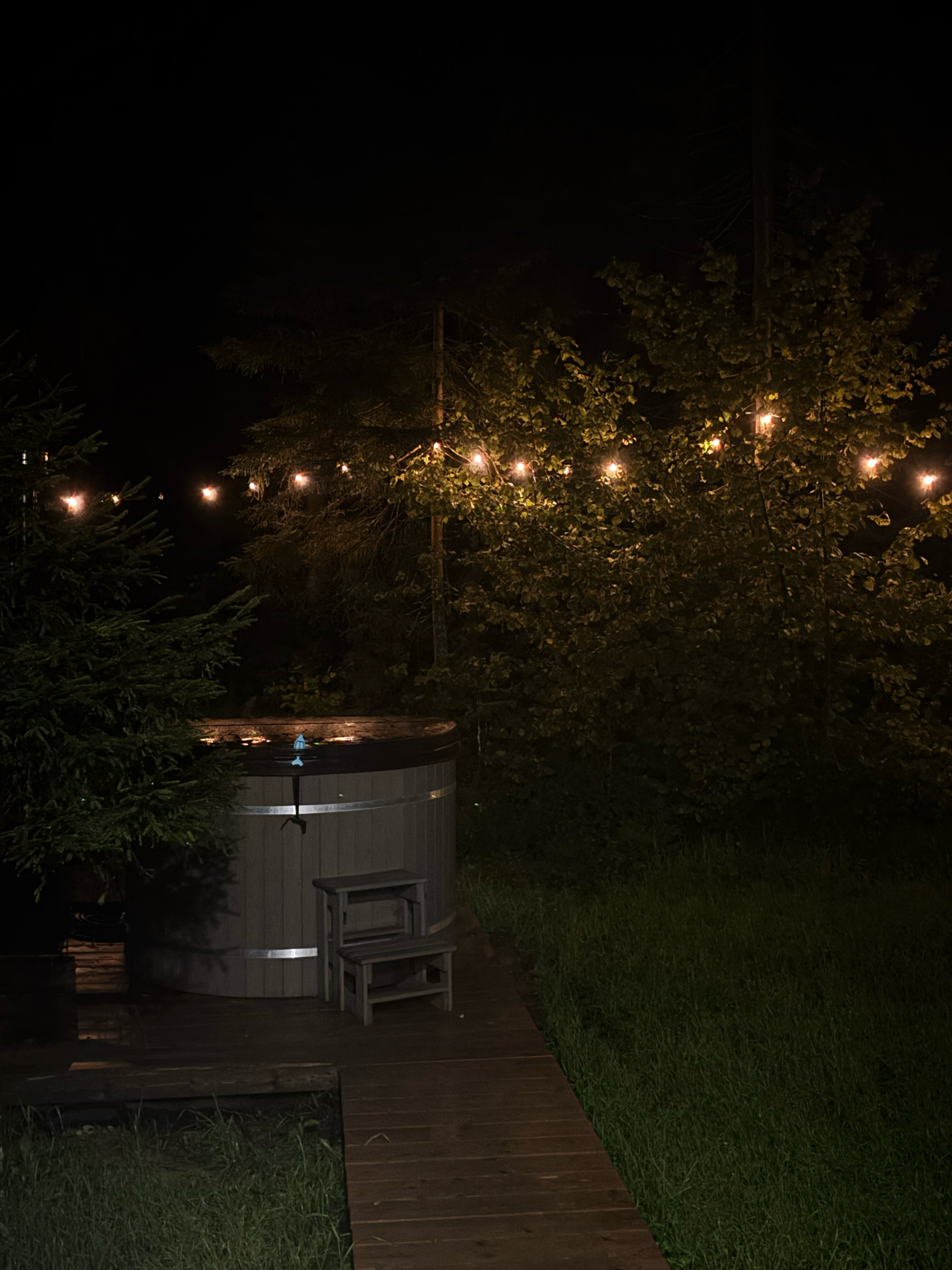 Фото Лесариум