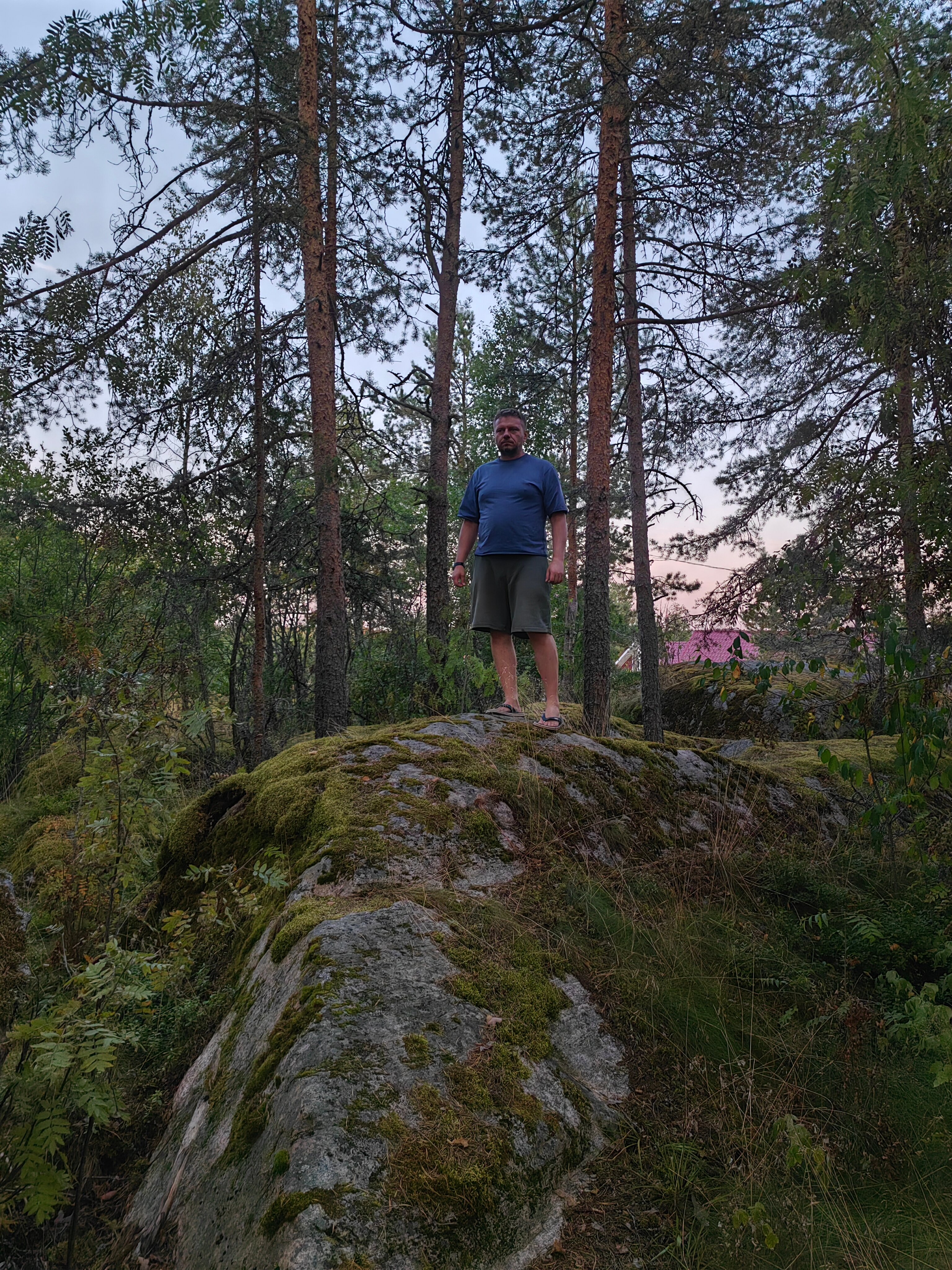 Фото Ярви Хаус