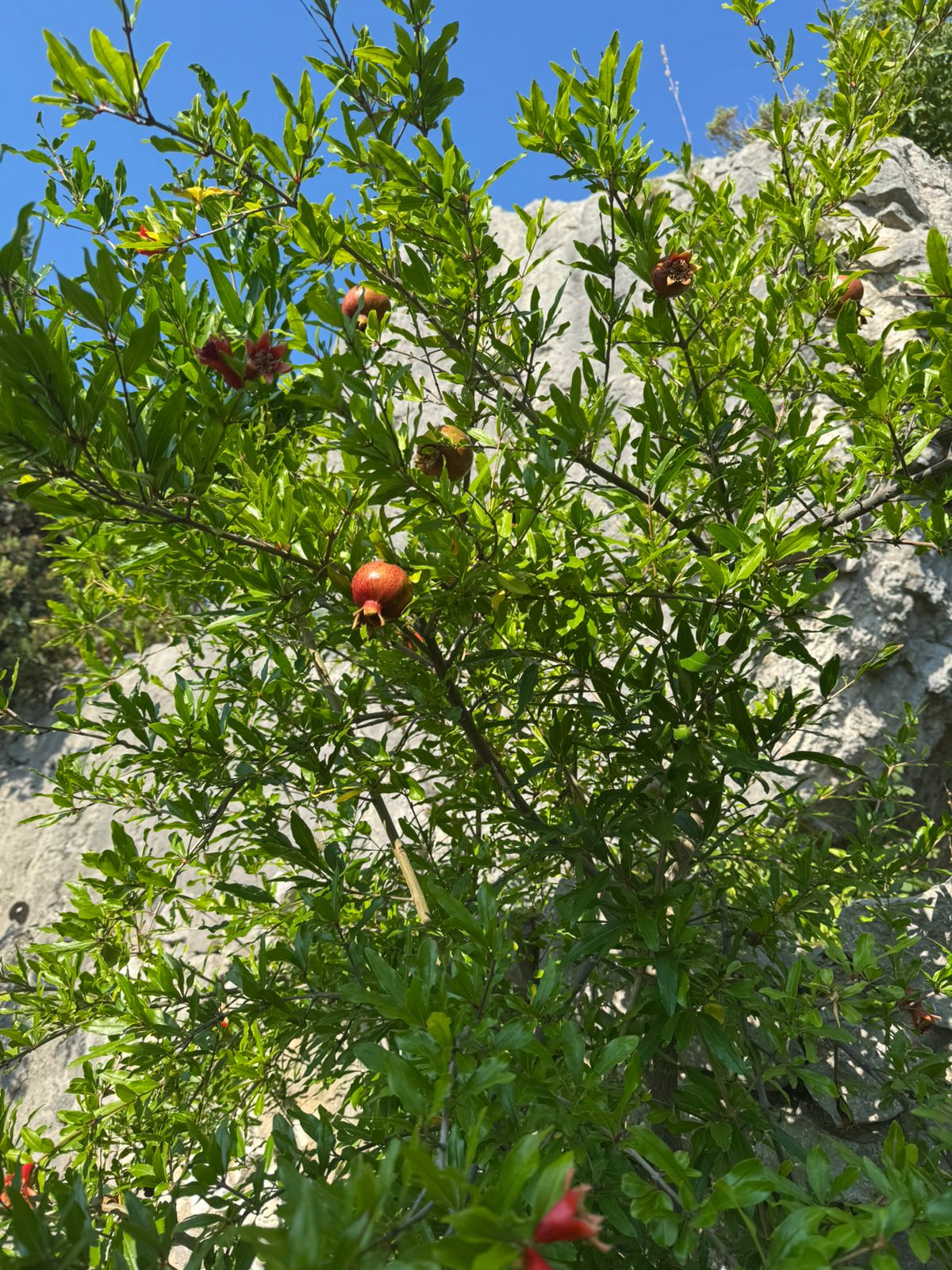 Фото У горы Кошка