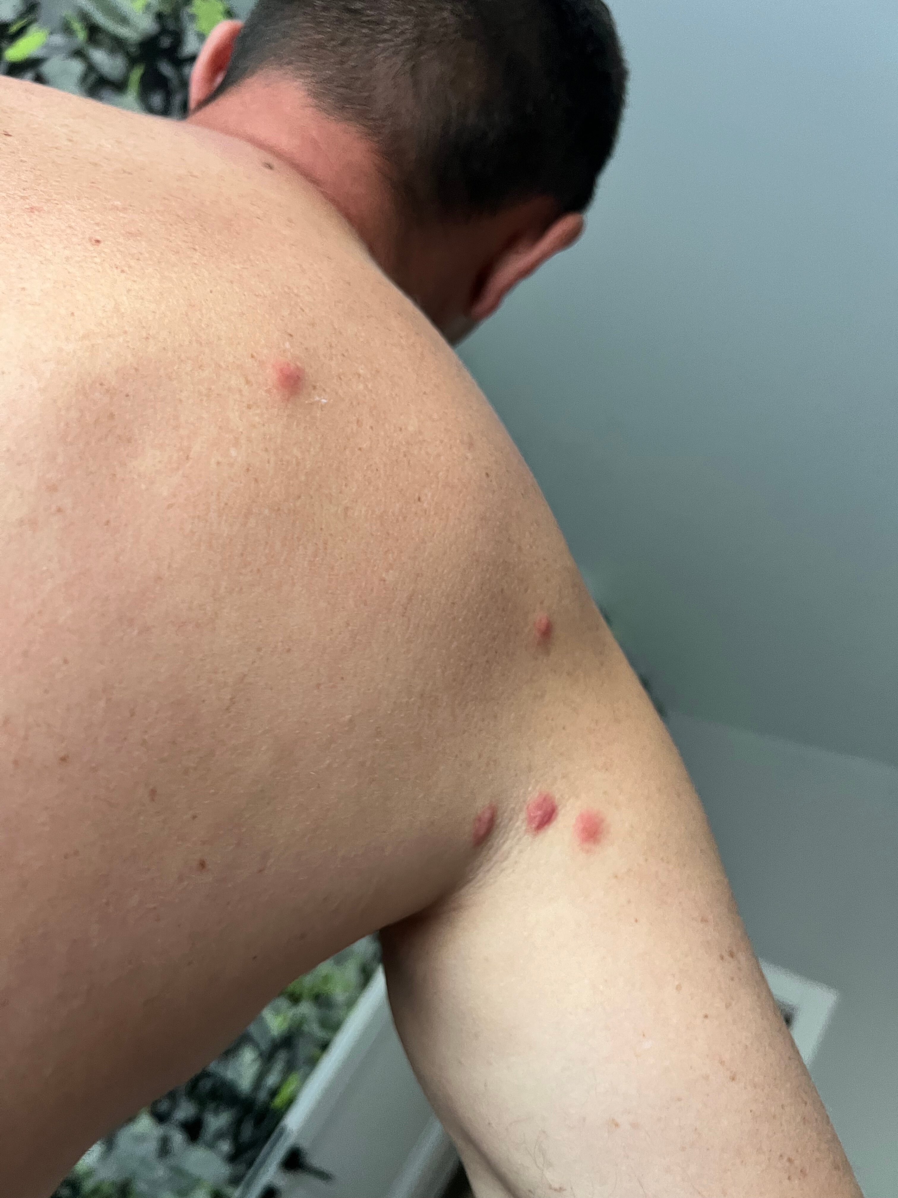 Фото Nart el Shale