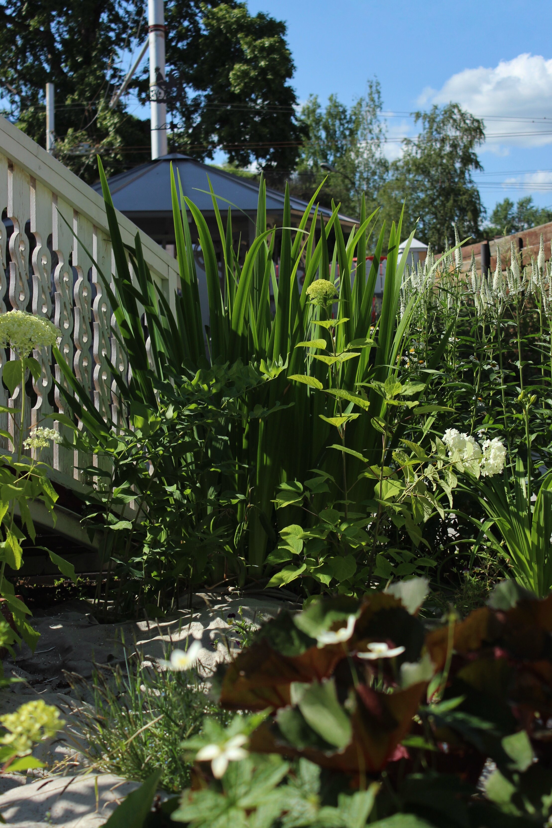 Фото Заречный 1840