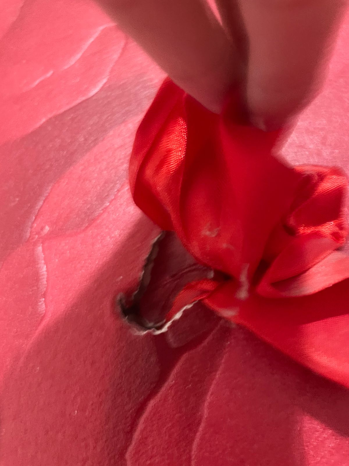 Фото Гостевой дом Зеленый дворик