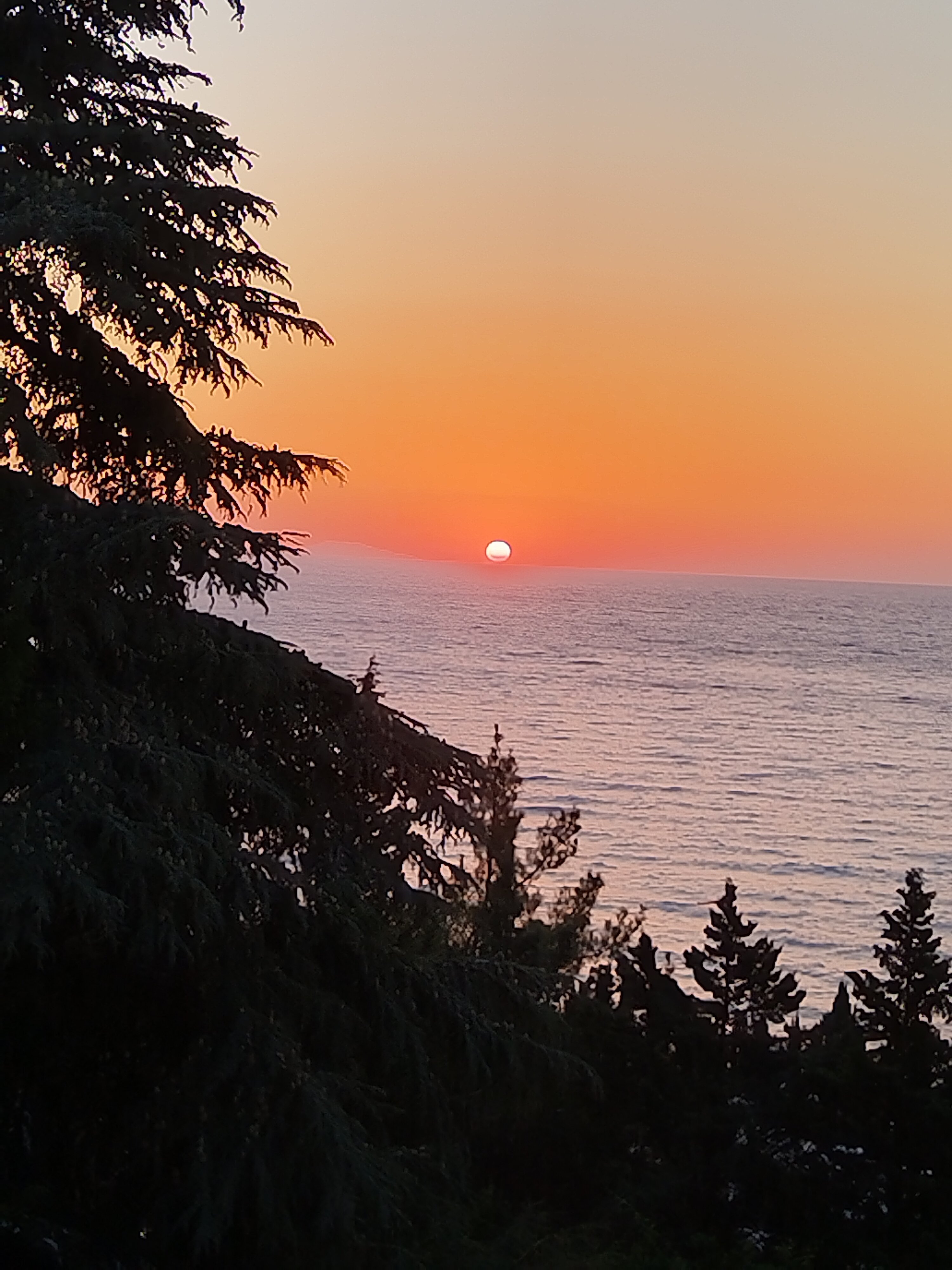 Фото Сказка