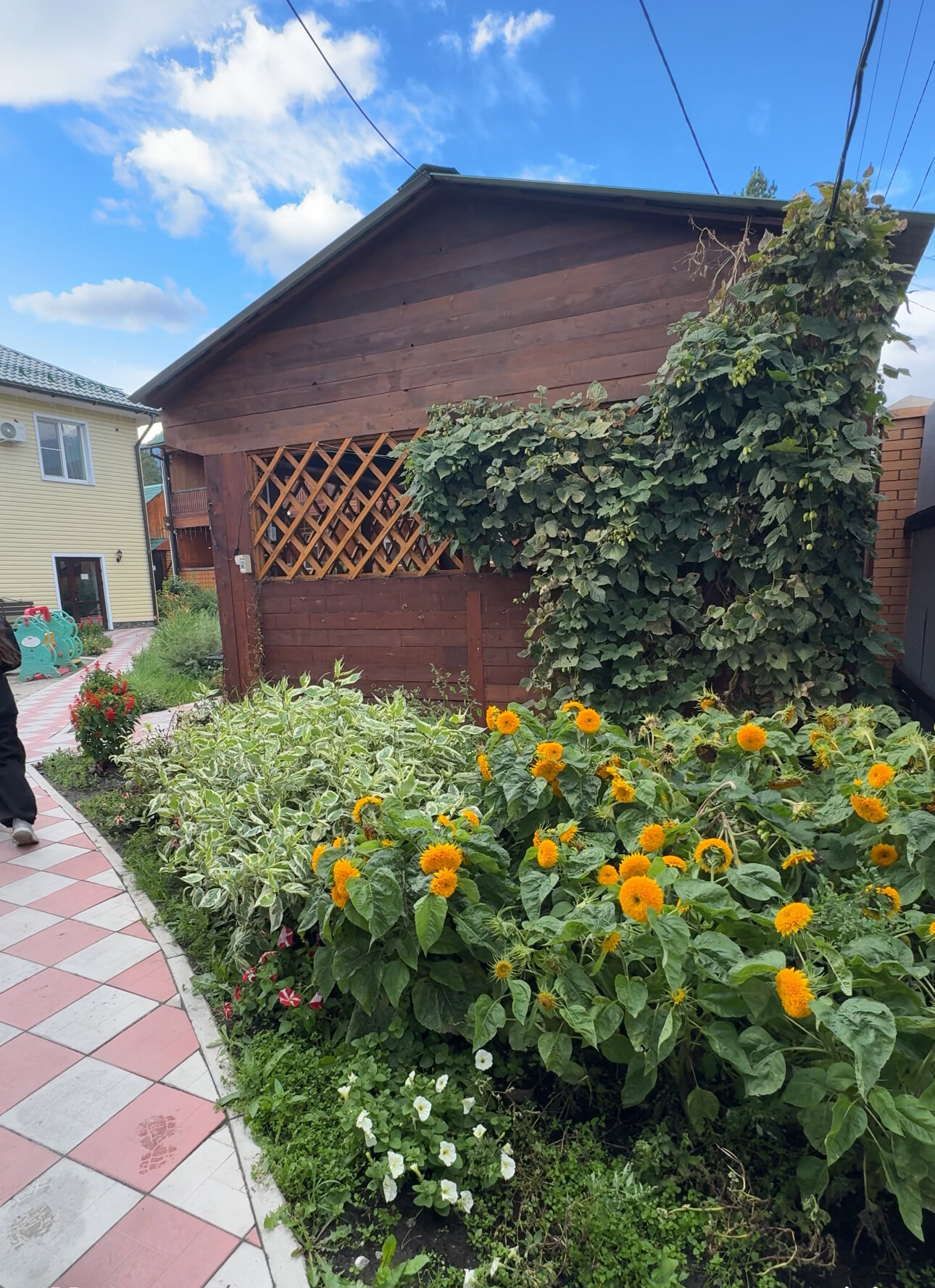 Фото Удачный