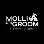 MolliGroom (Usoshina Street, 4), pet salon