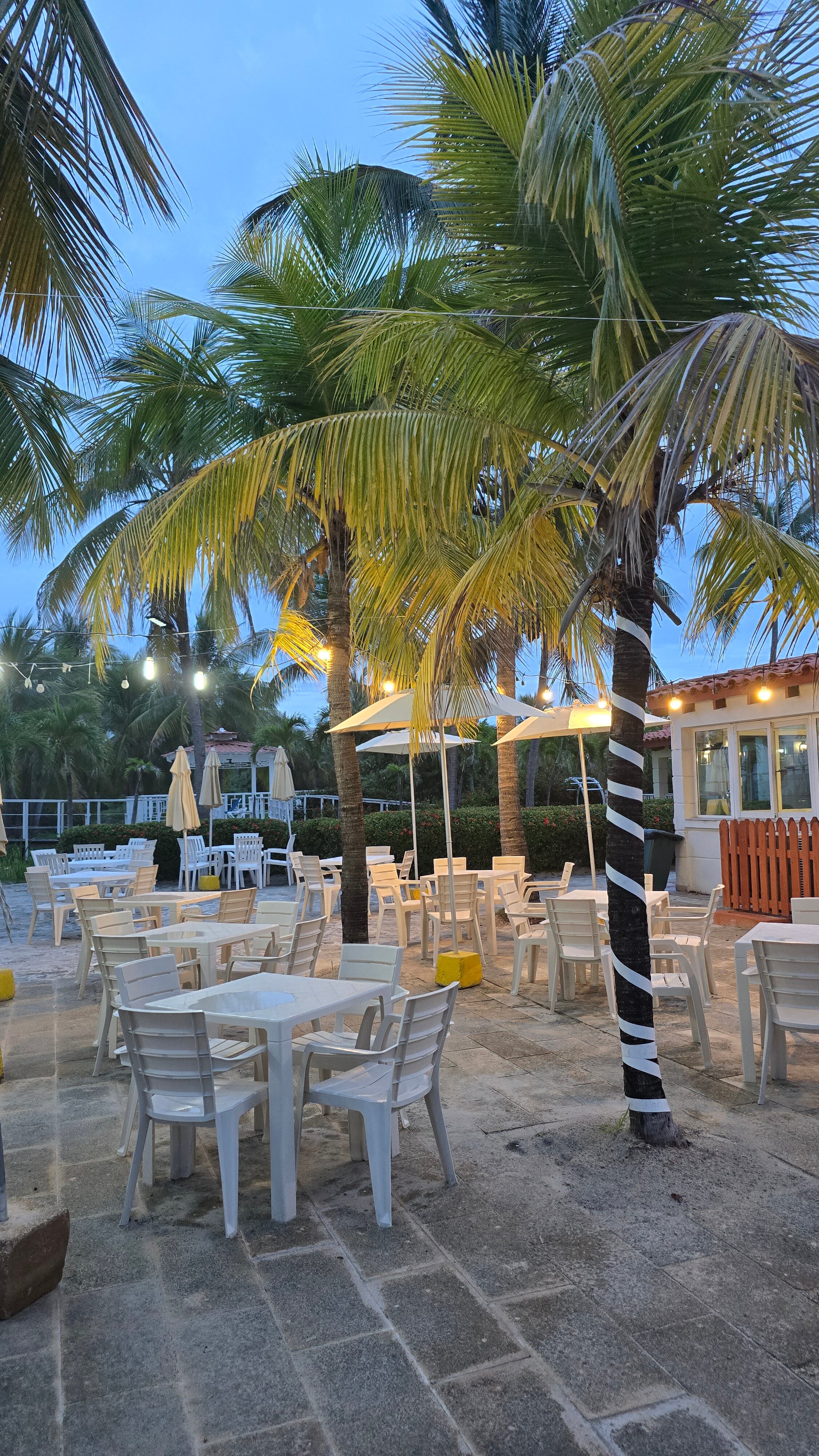 Фото Occidental Arenas Blancas by Barcelo