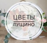 Цветы (mikrorayon V, 15), flower shop