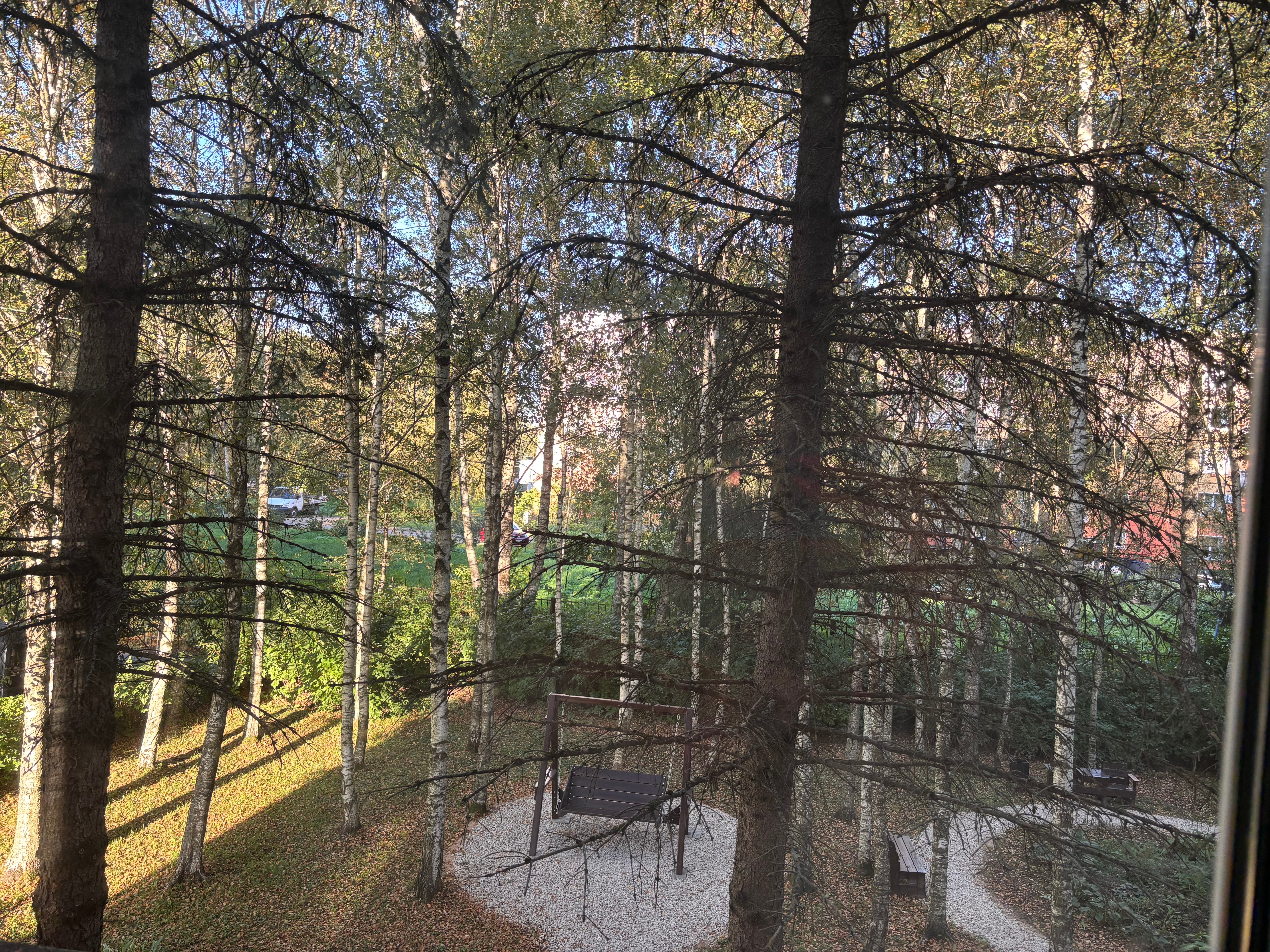 Фото Спортивная