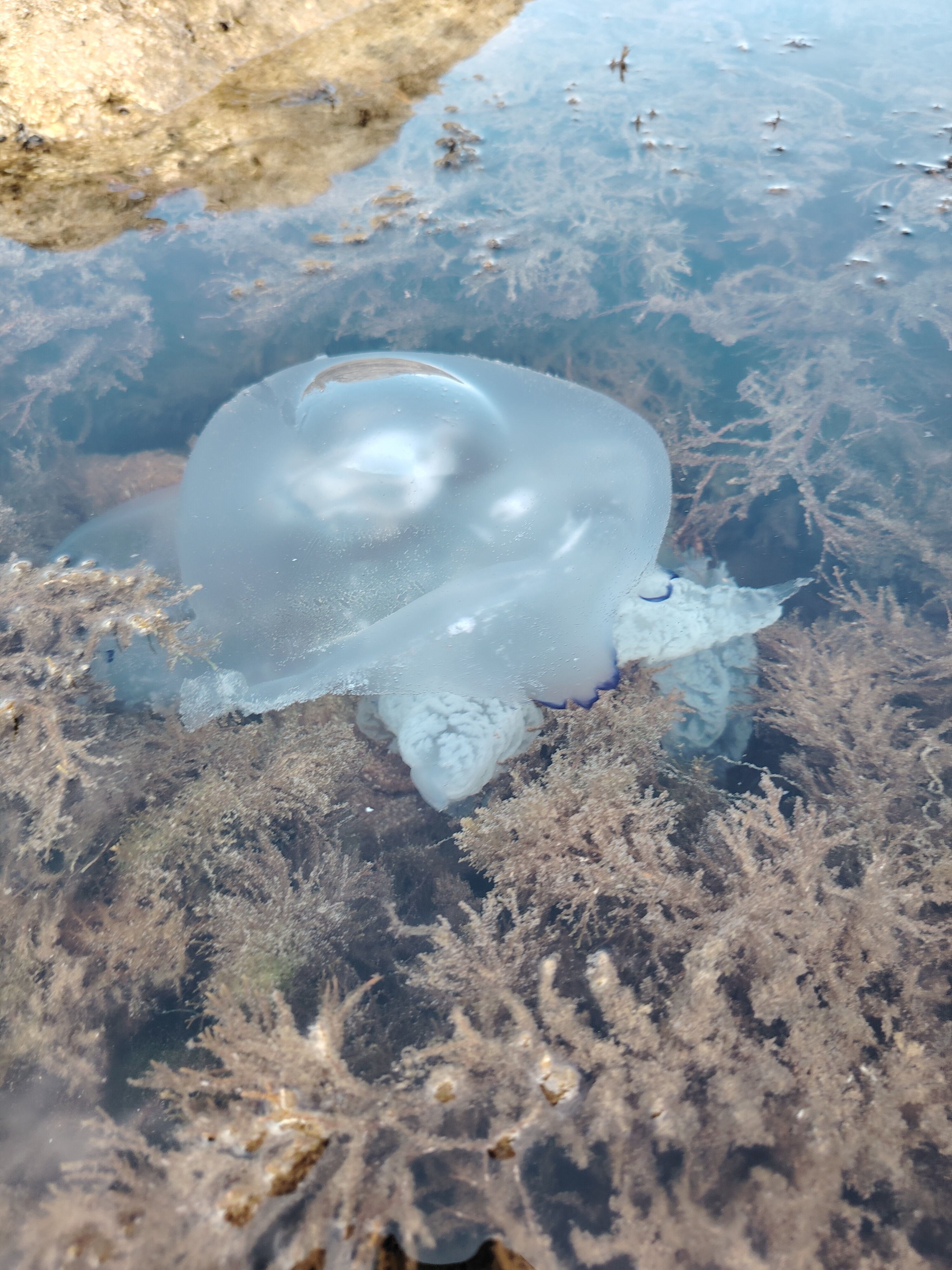 Фото Дом у моря