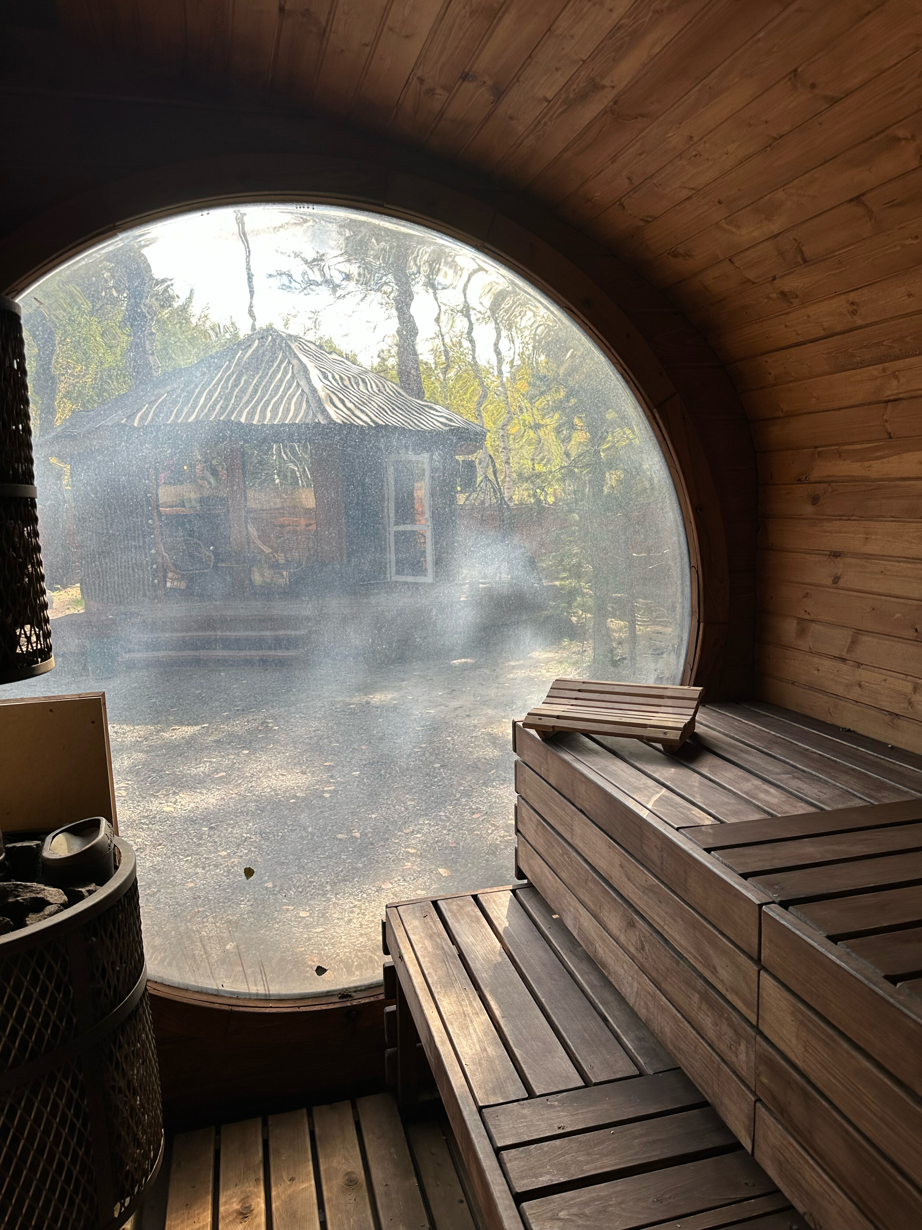 Фото 13 Берёз