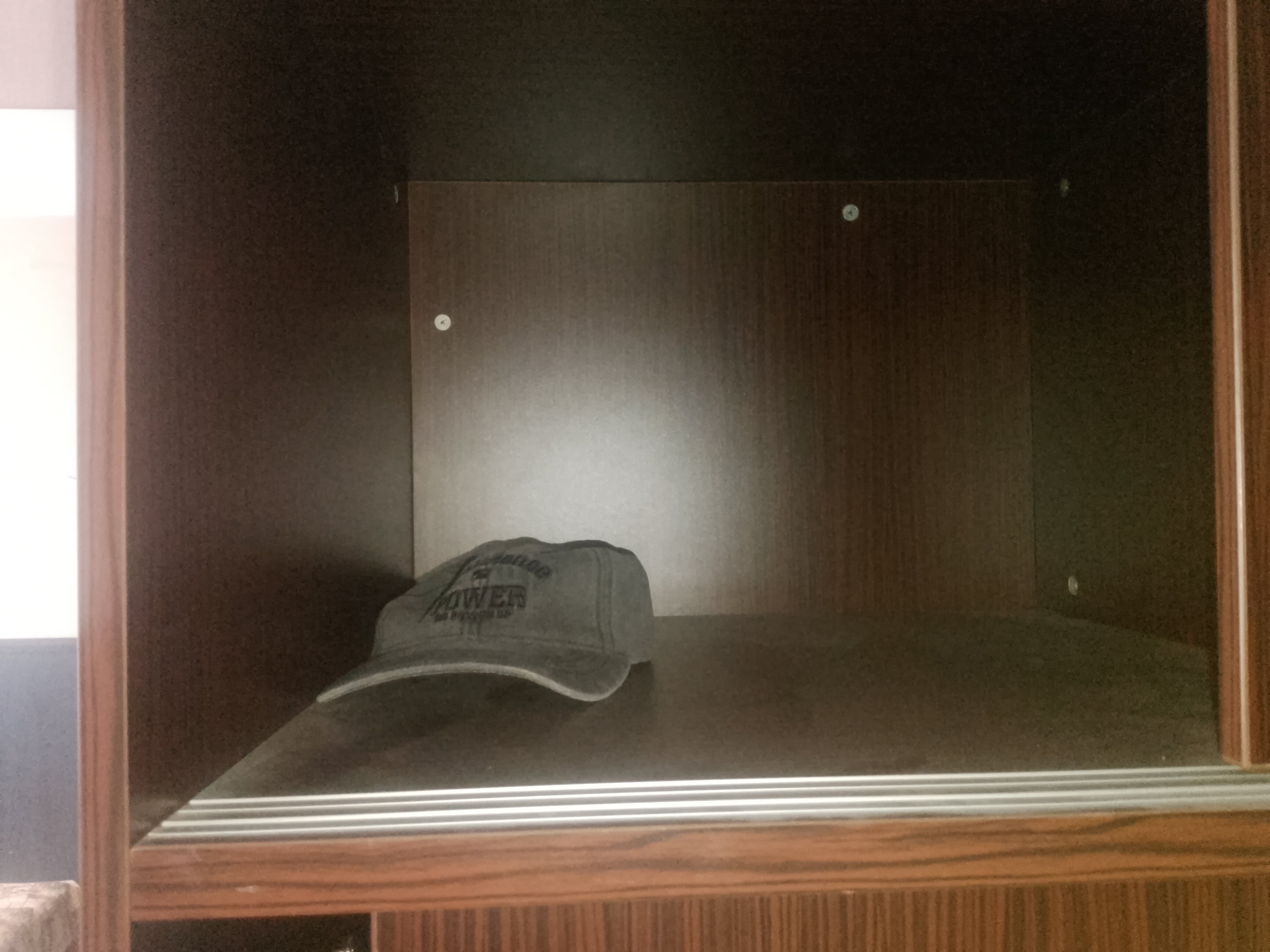 Фото Альбатрос