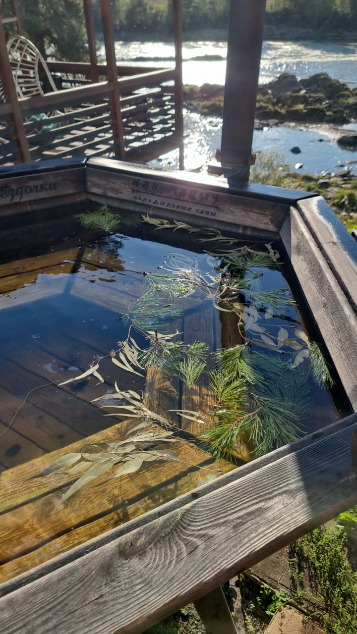 Фото Алтайские звездочки