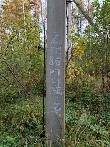 Гермафродит письки мен мүшесі