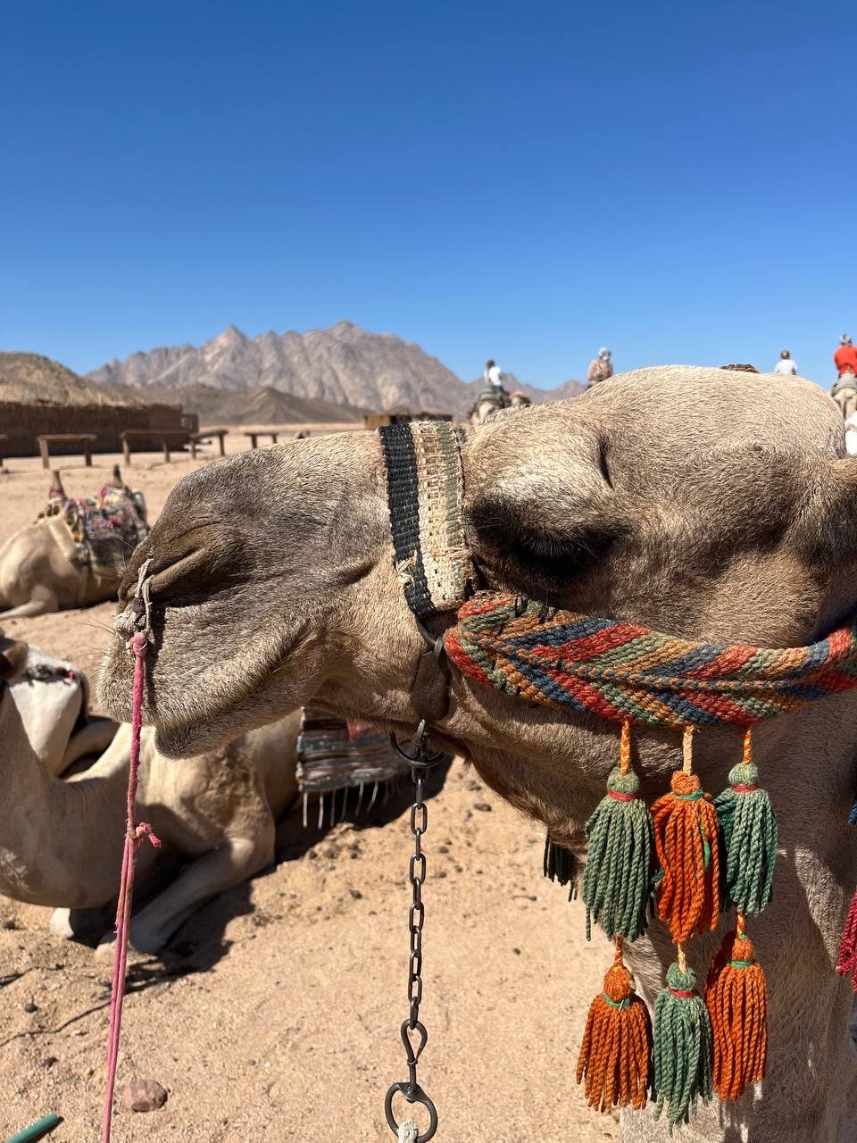 Фото Eagles Downtown Zahabia & Beach Resort