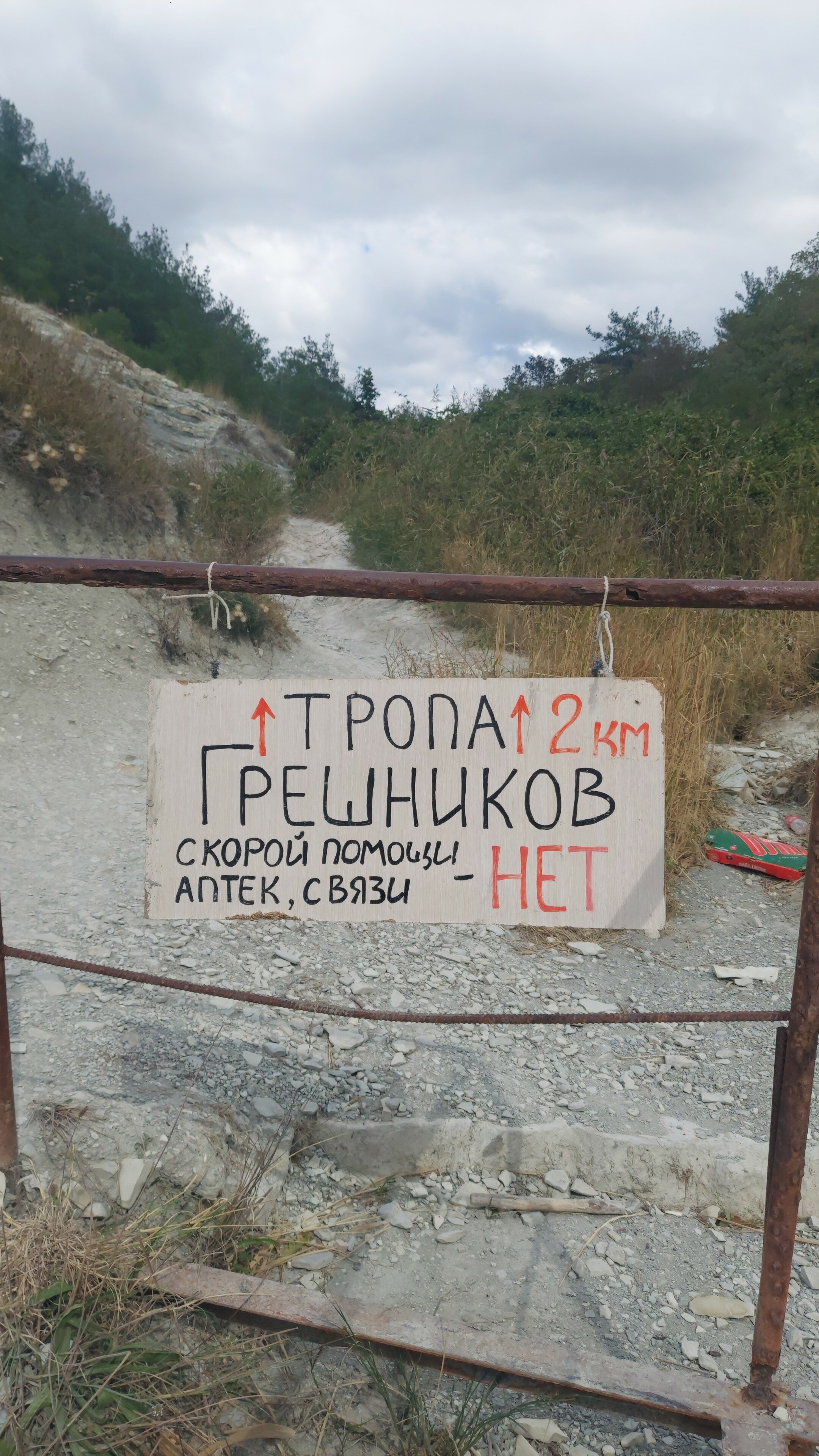 Фото Сосновка
