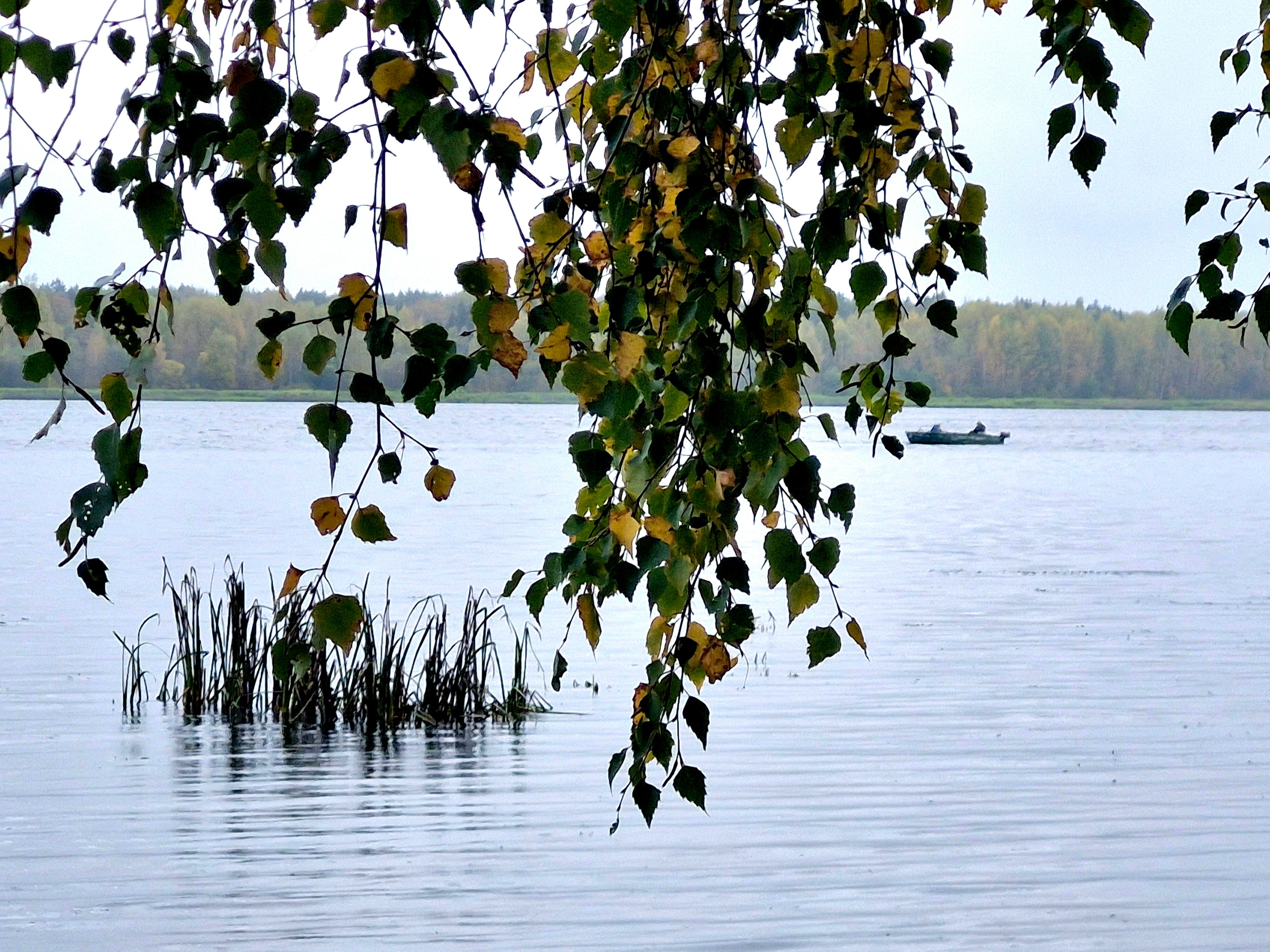 Фото Губернский двор