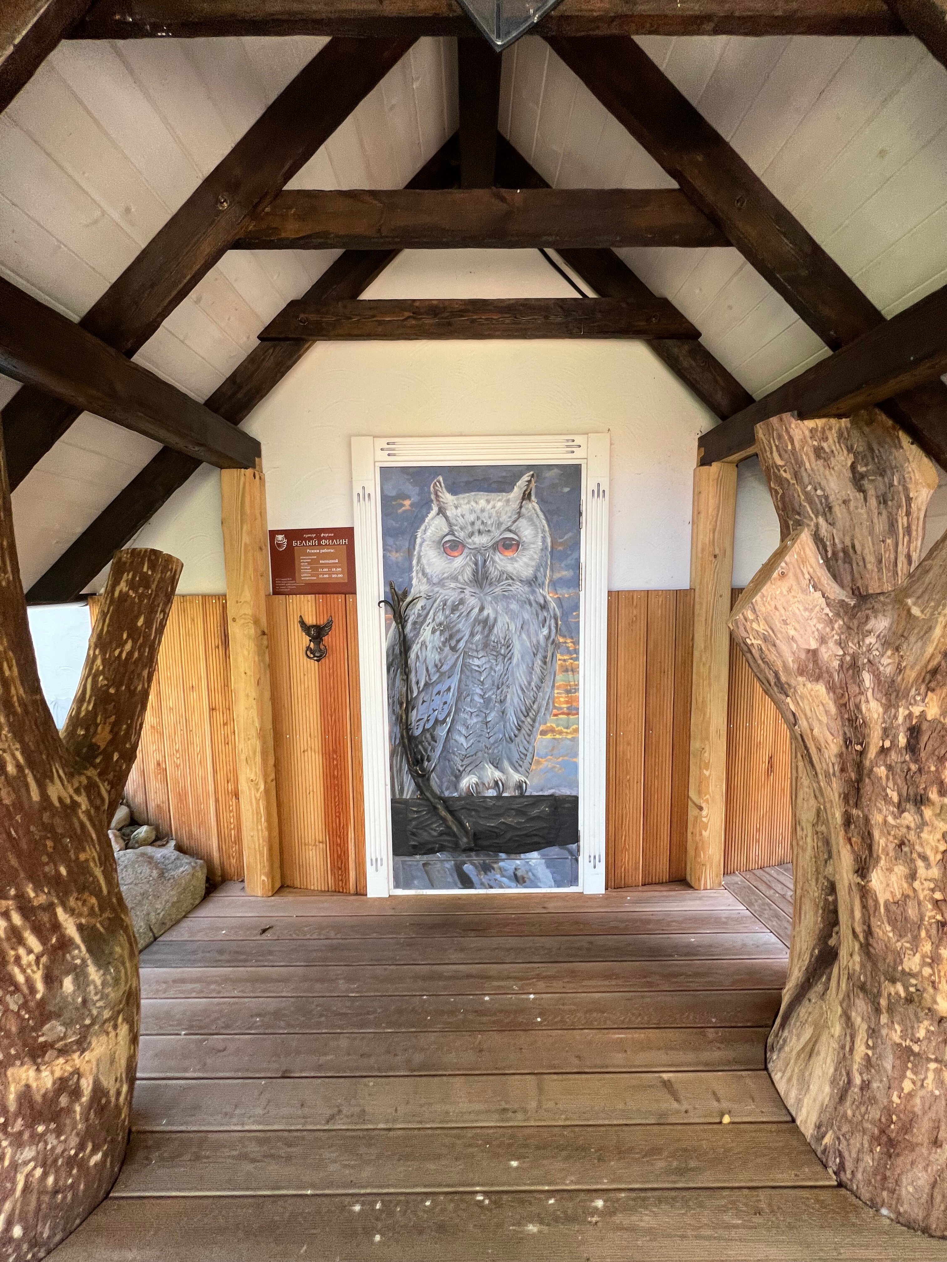 Фото Белый филин