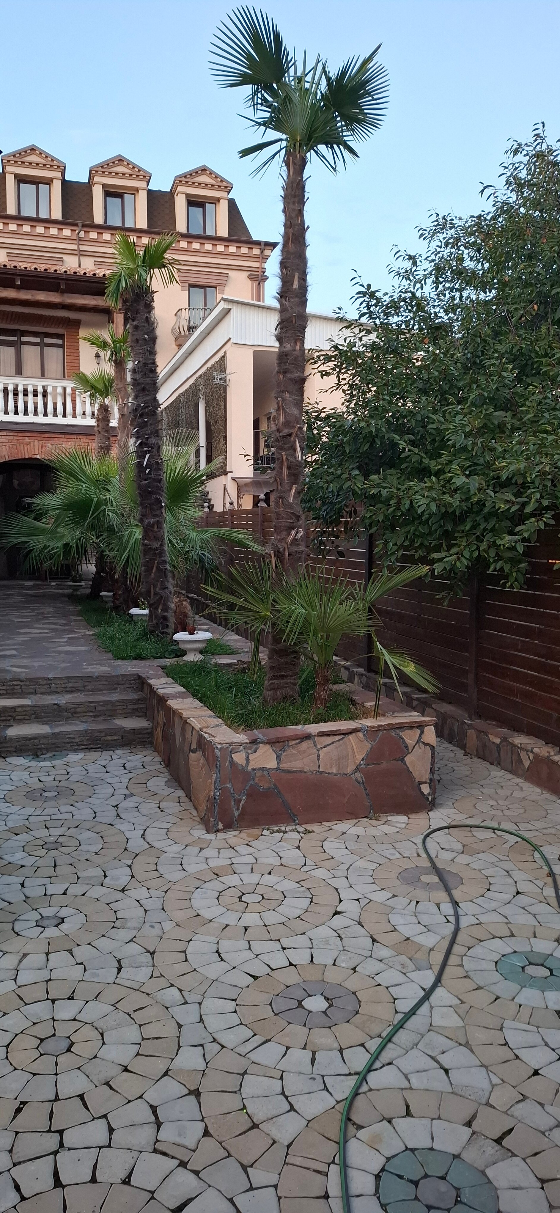 Фото Маринус