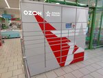 Ozon box (Krasnodar, Ryleeva Street, 358), parcel automat