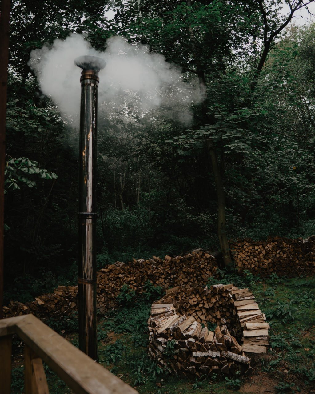 Фото Клевер